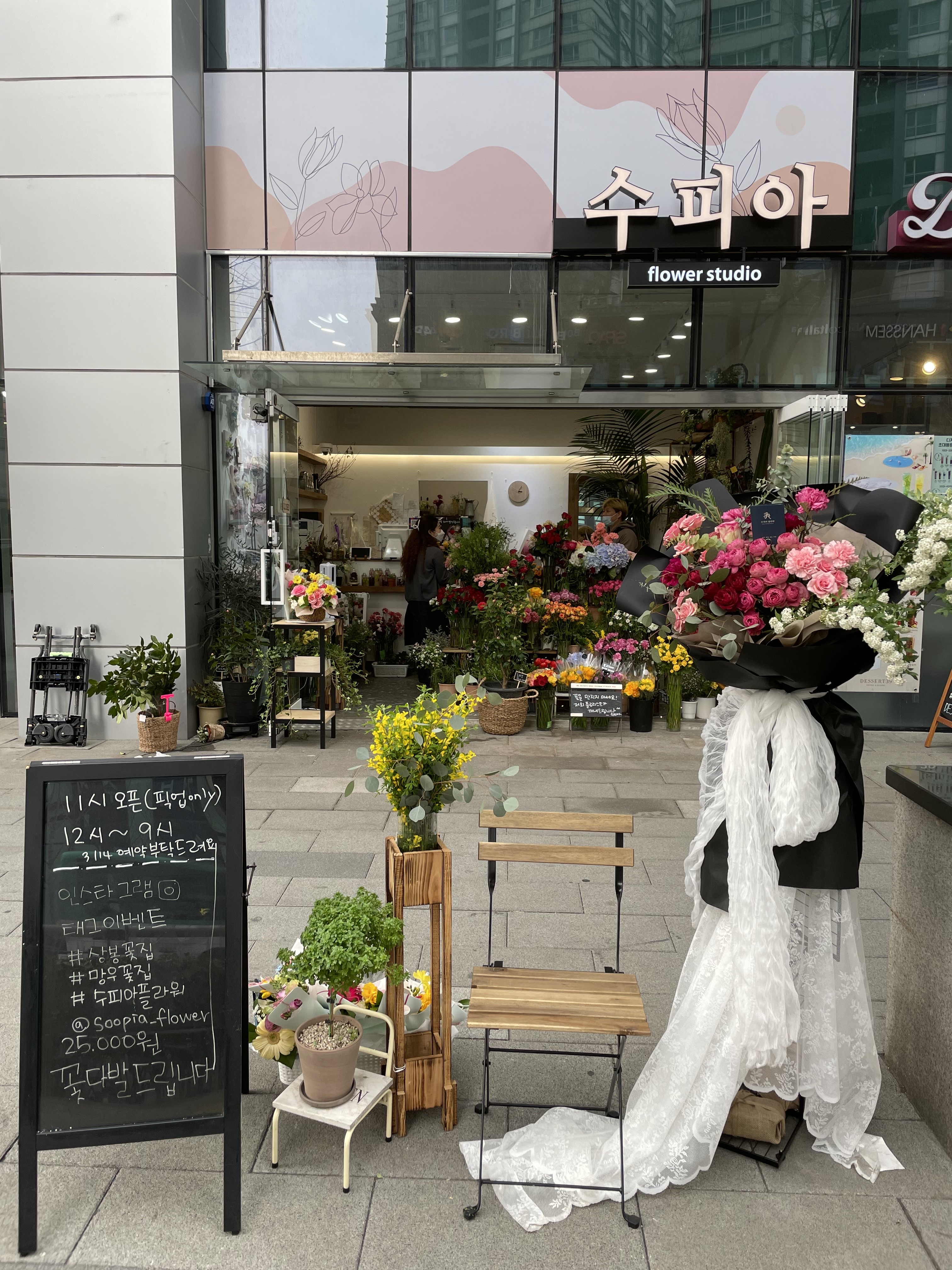 수피아 플라워