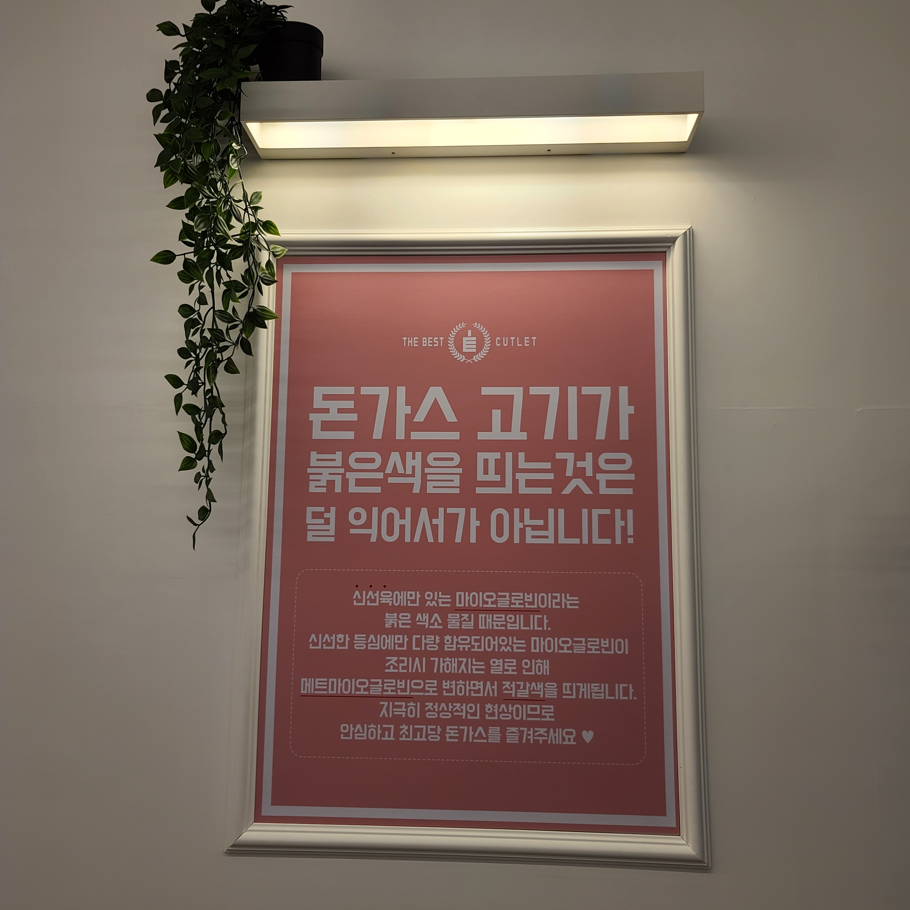 최고당돈가스 김포걸포북변점