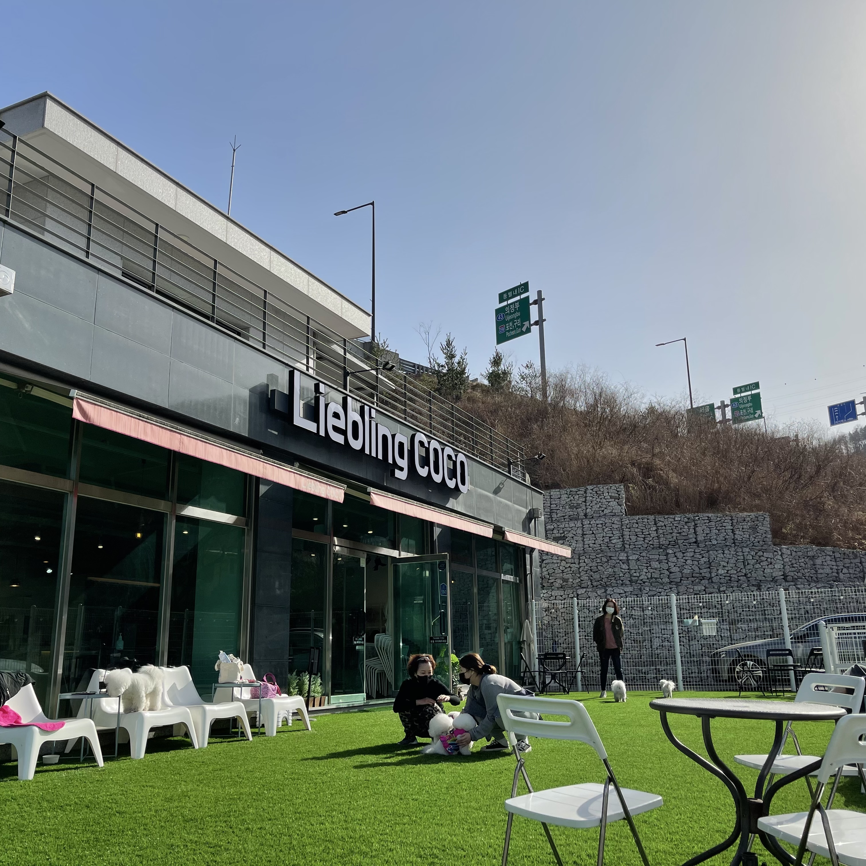 리블링코코 경기 애견맛집
