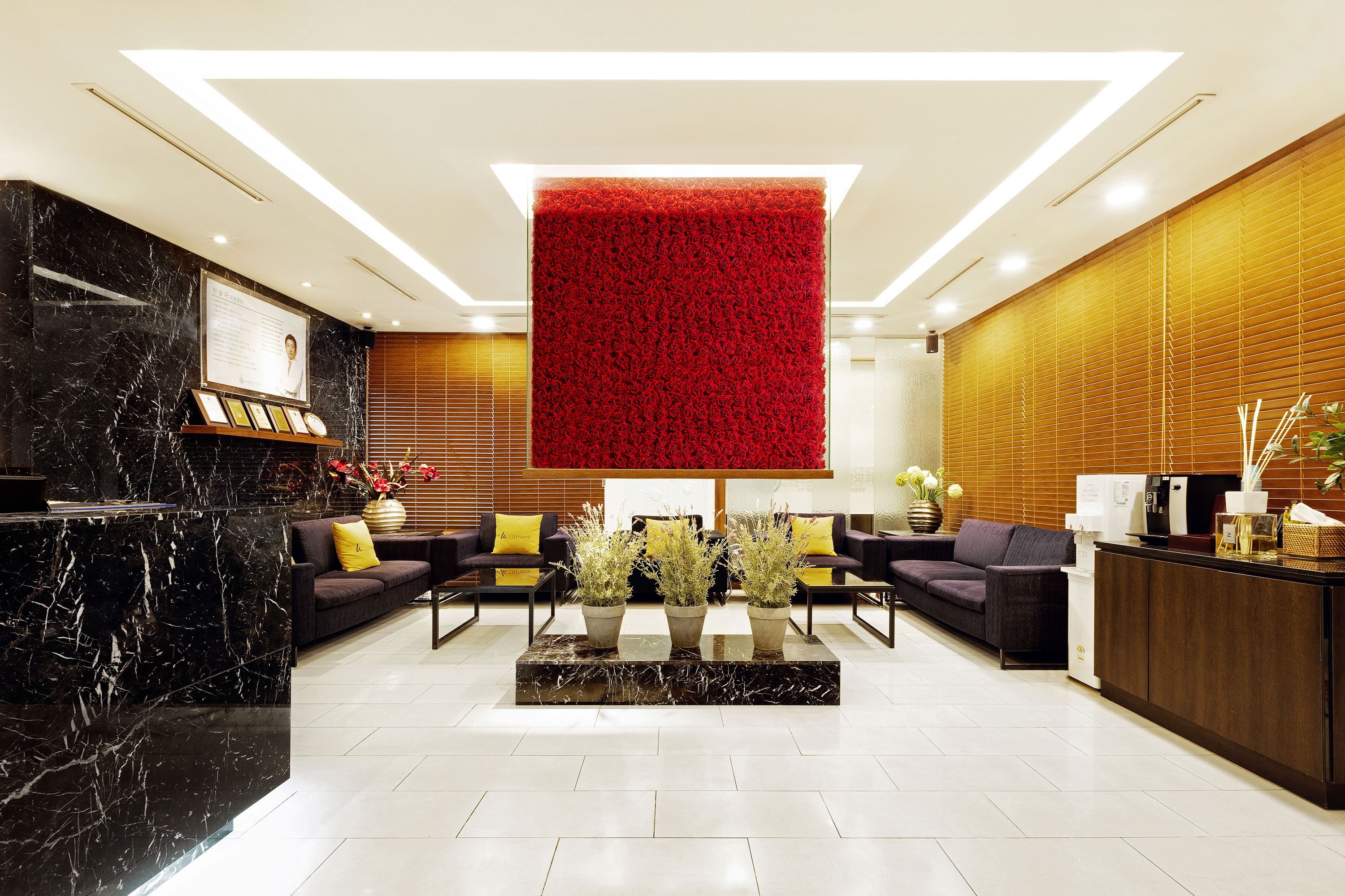 리프트업성형외과의원 대표 이미지