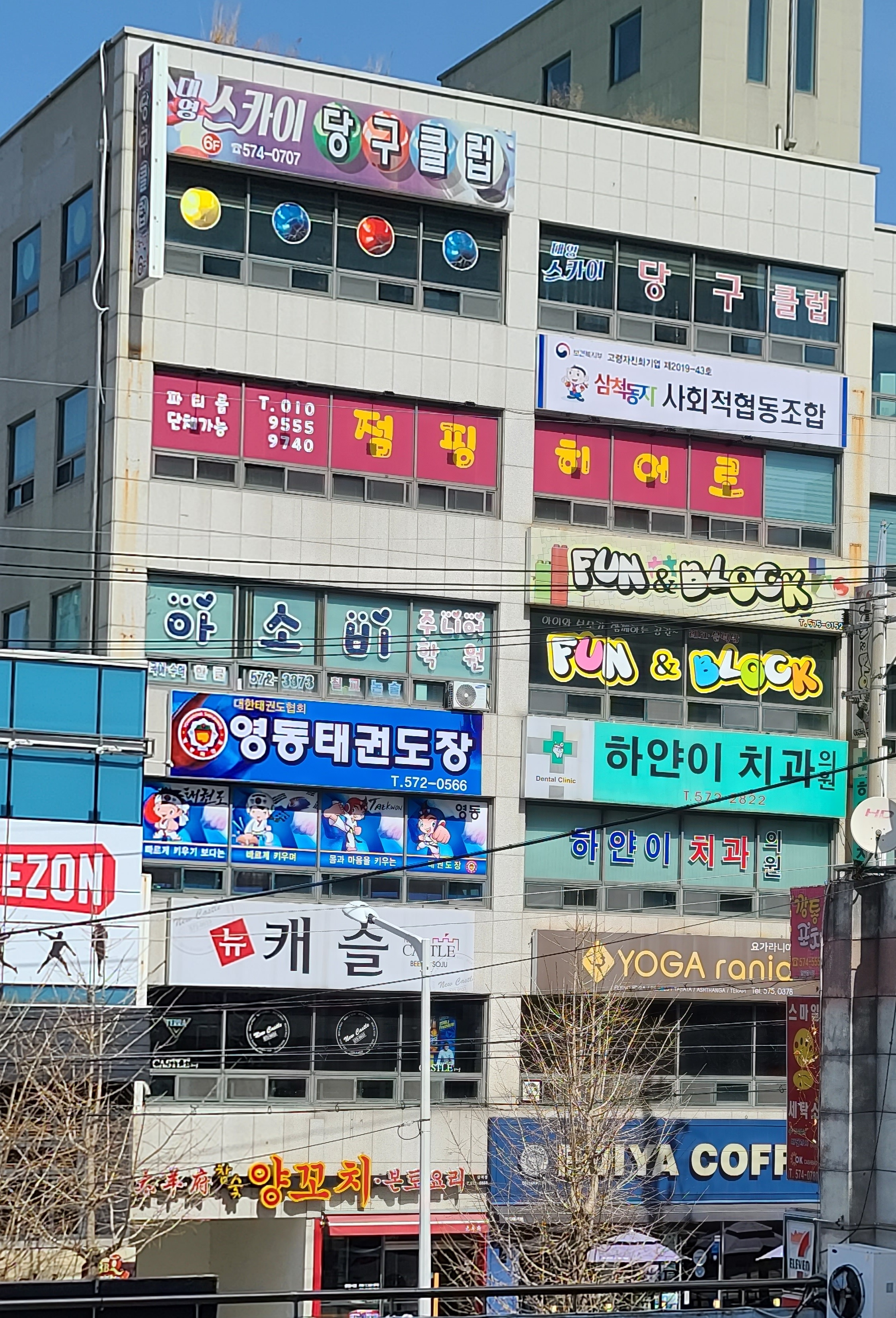 영동태권도