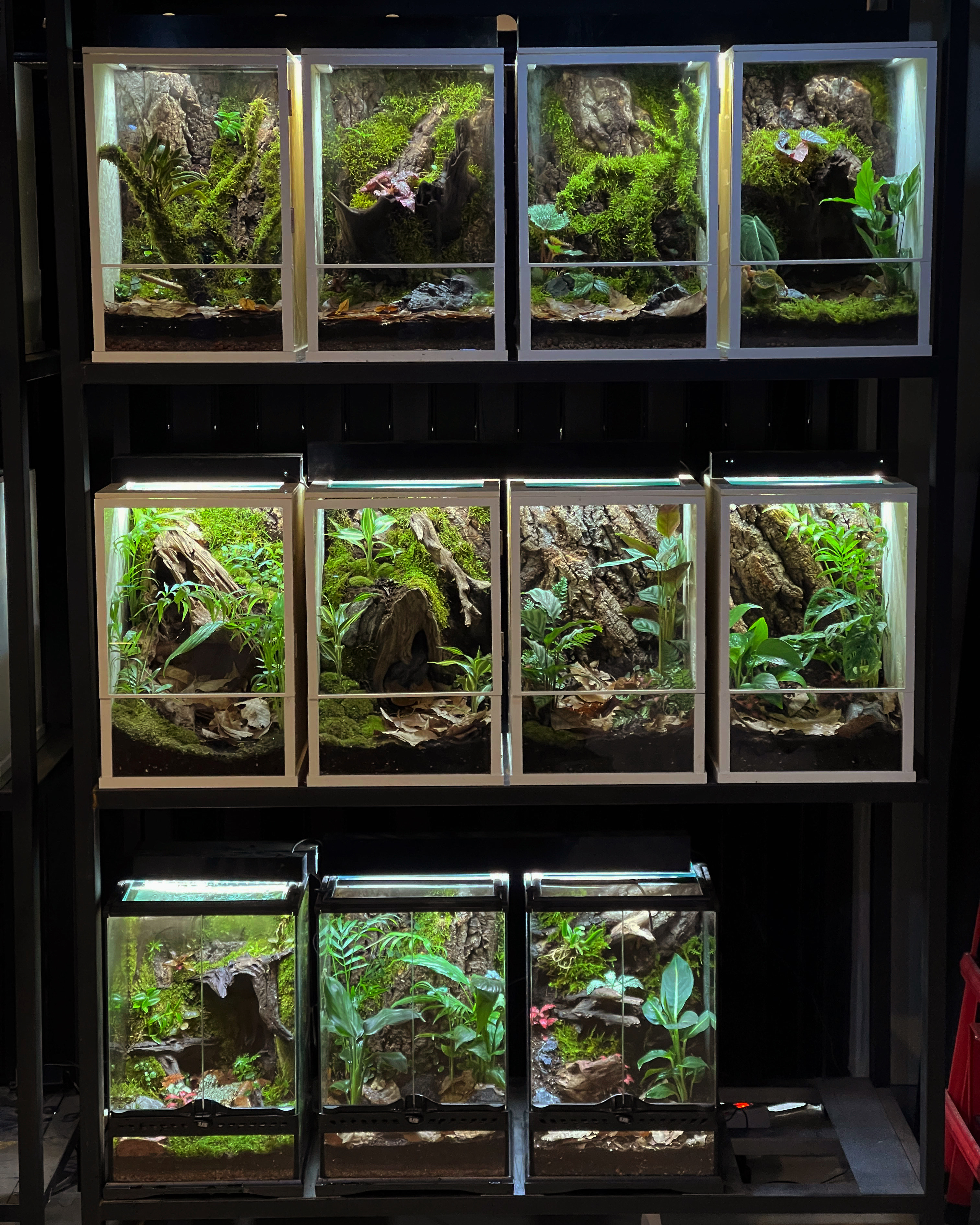 밀리언갤런 대표 이미지