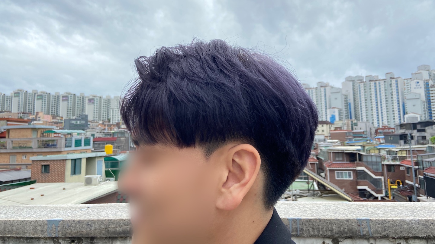 머리에봄