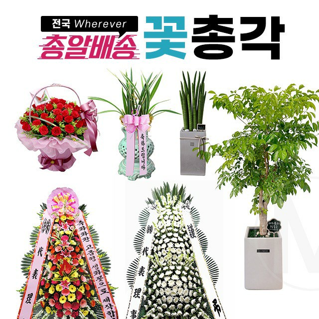 월드플라워