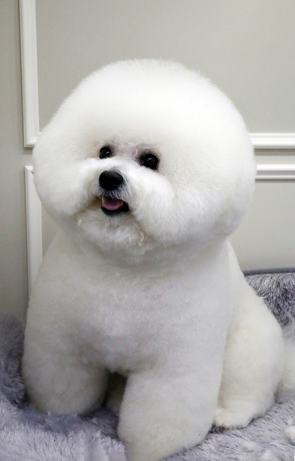 주변 가볼만한 곳