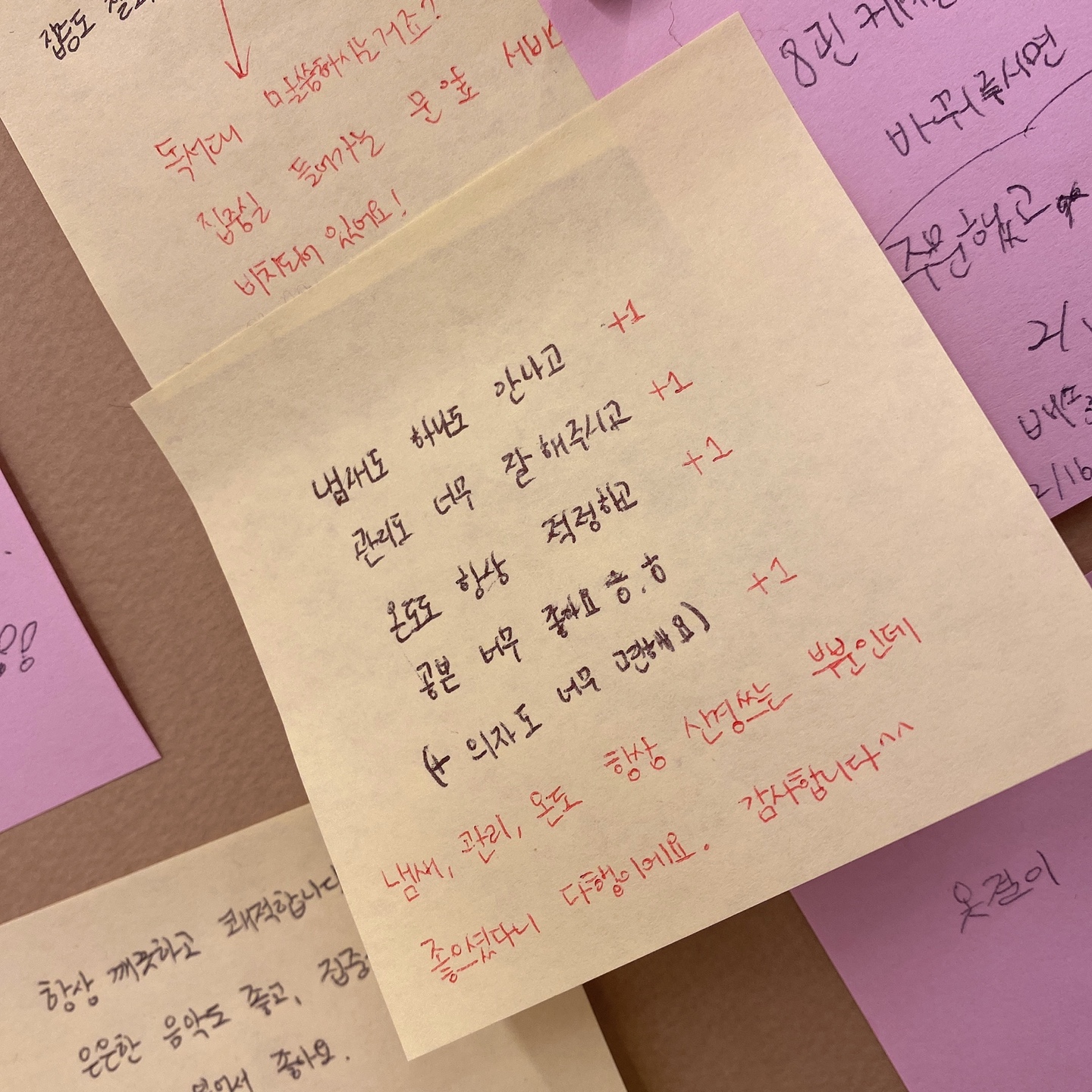 업체사진
