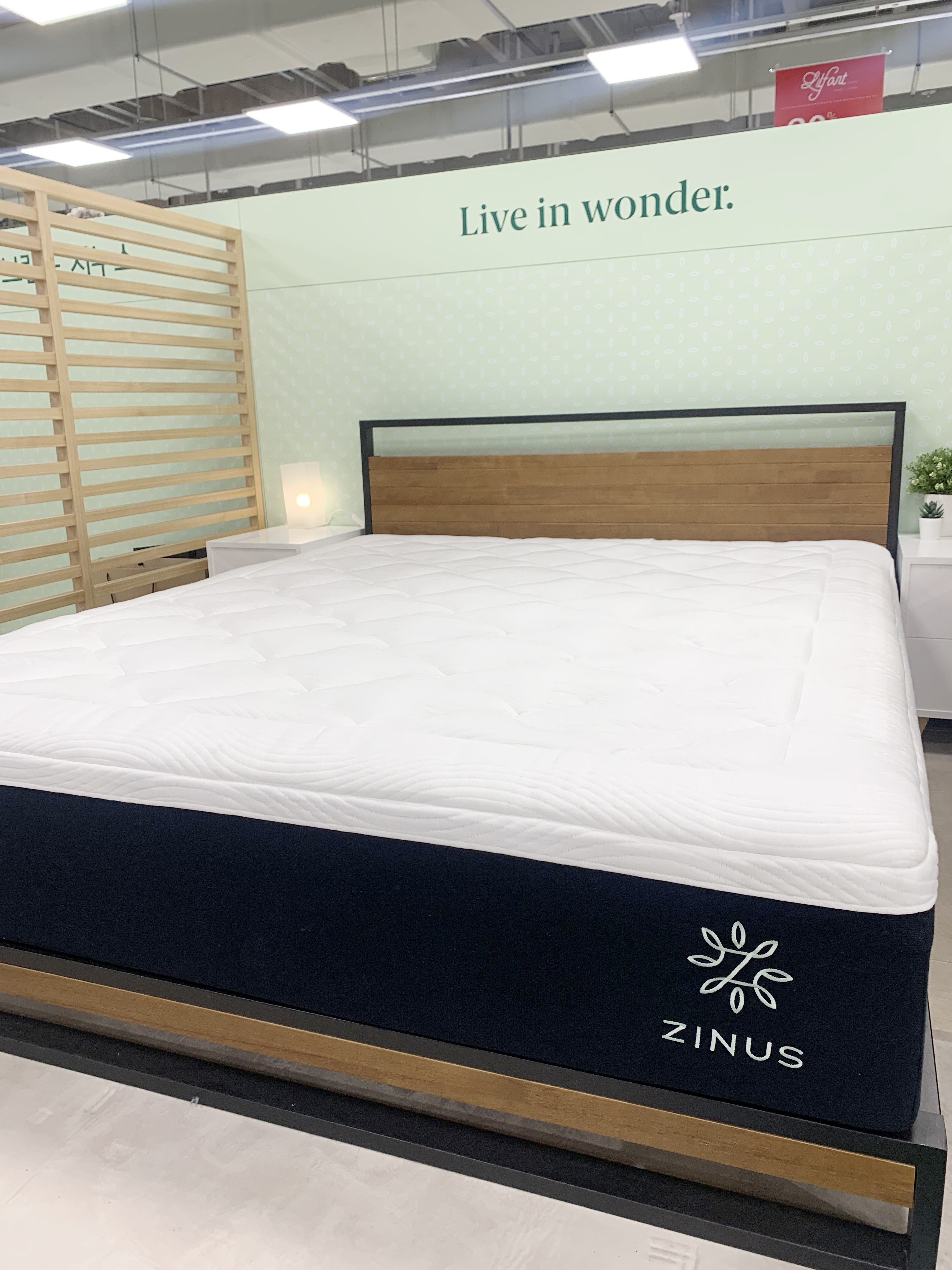 지누스 고양점 대표 이미지