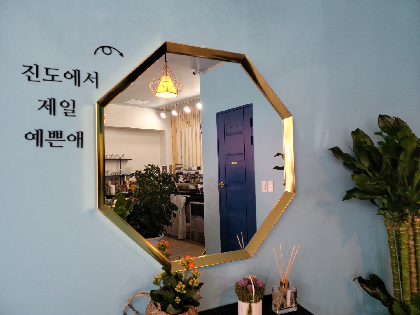 진도호시