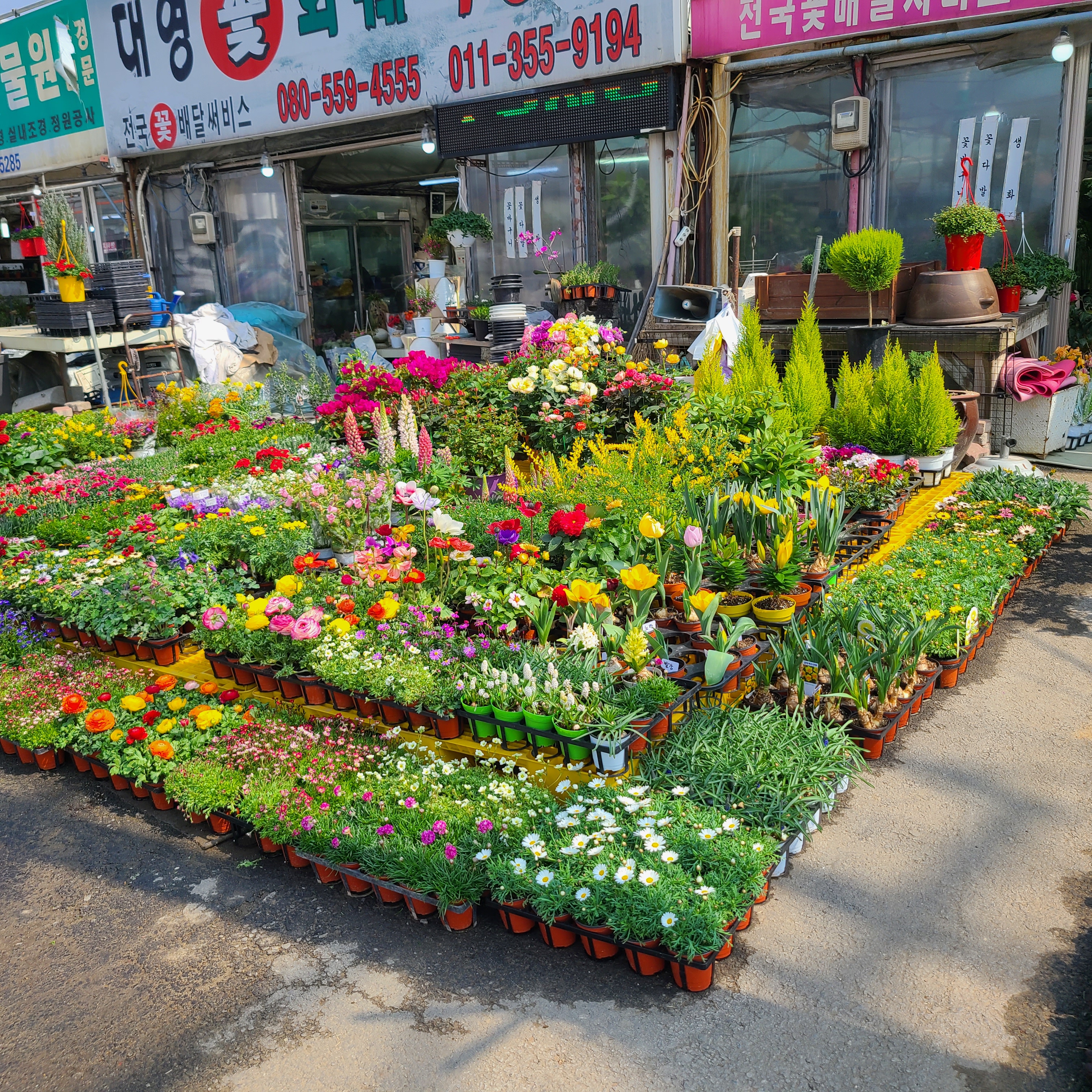 대영화훼조경