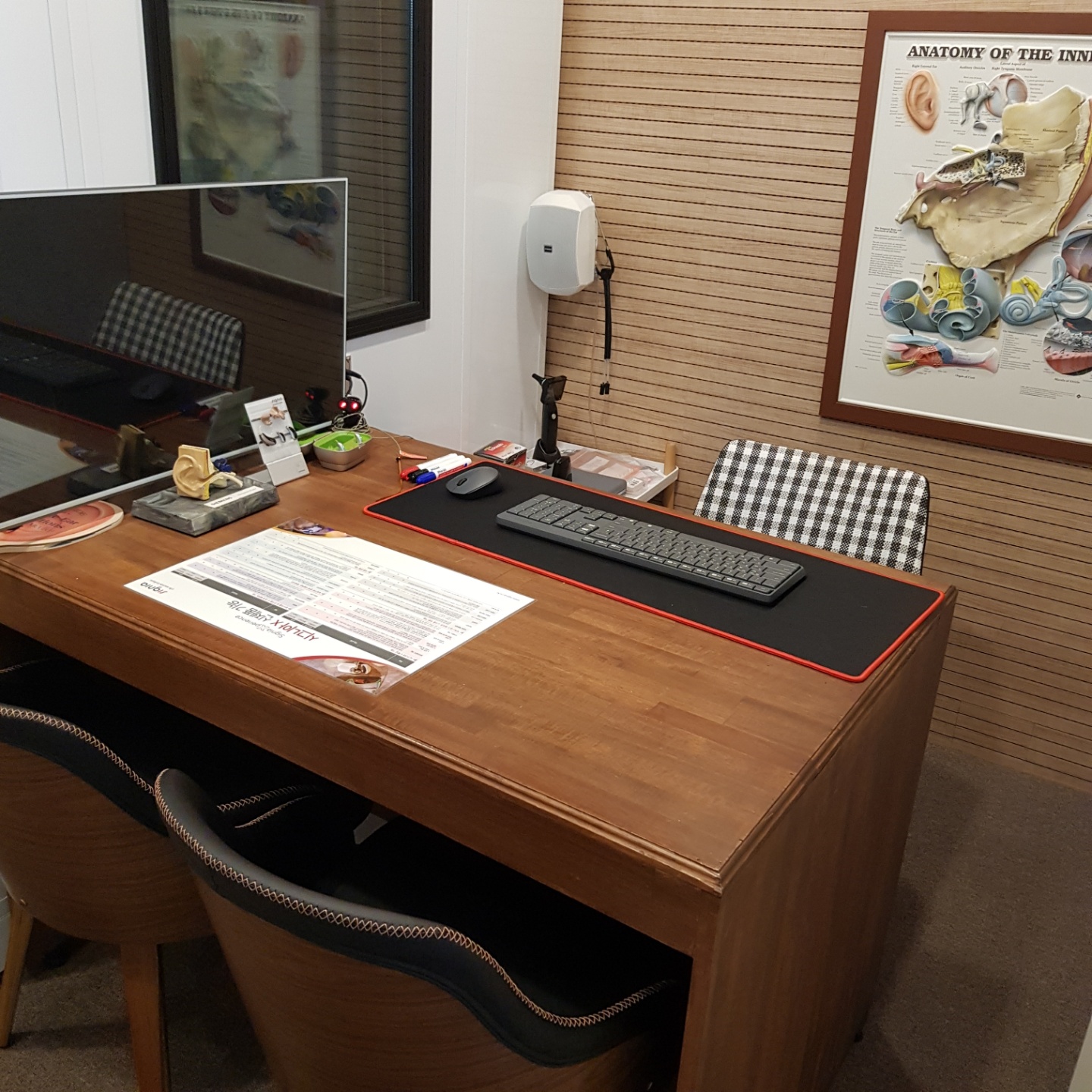 독일이음보청기 대표 이미지