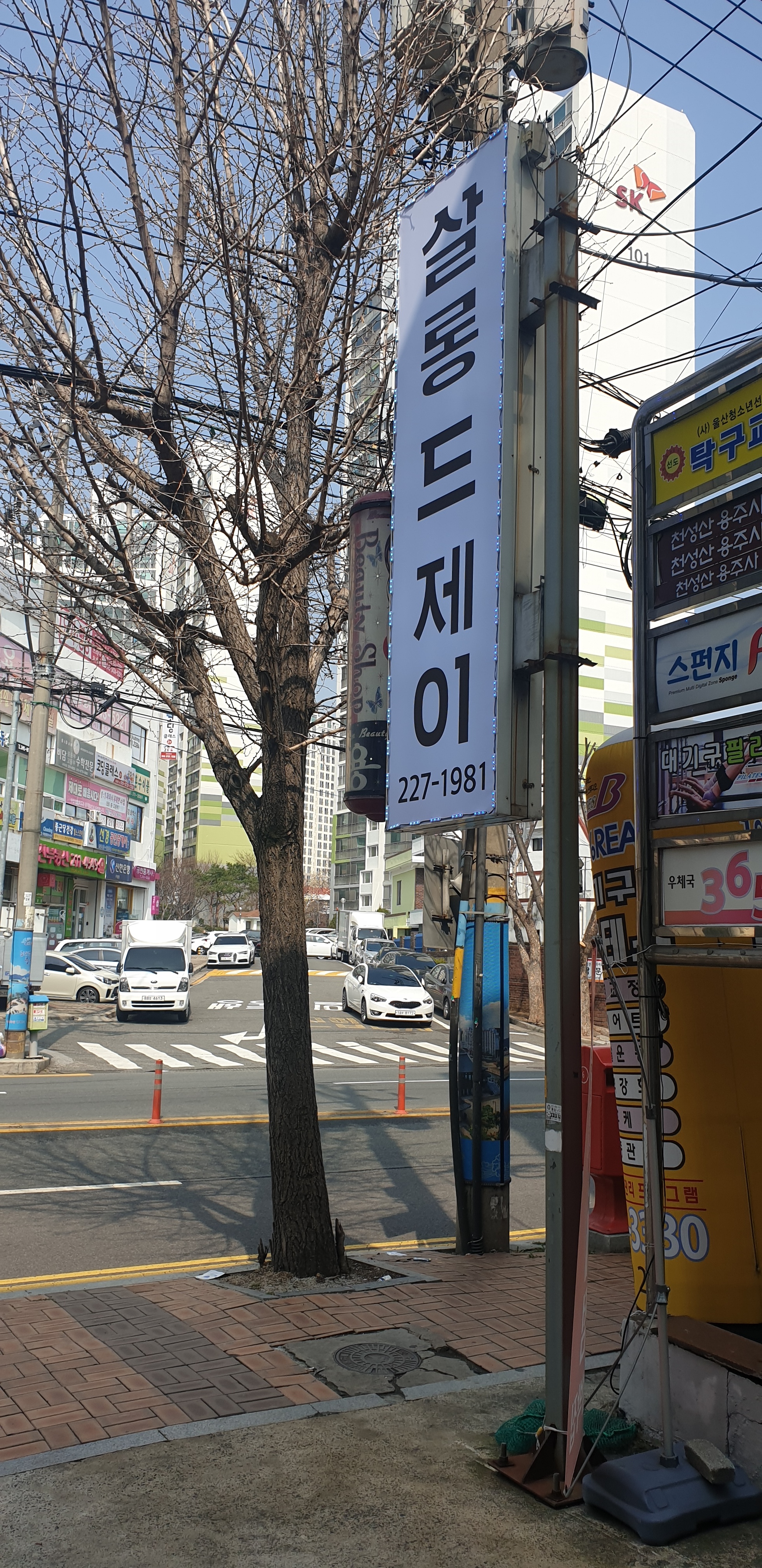 살롱드제이