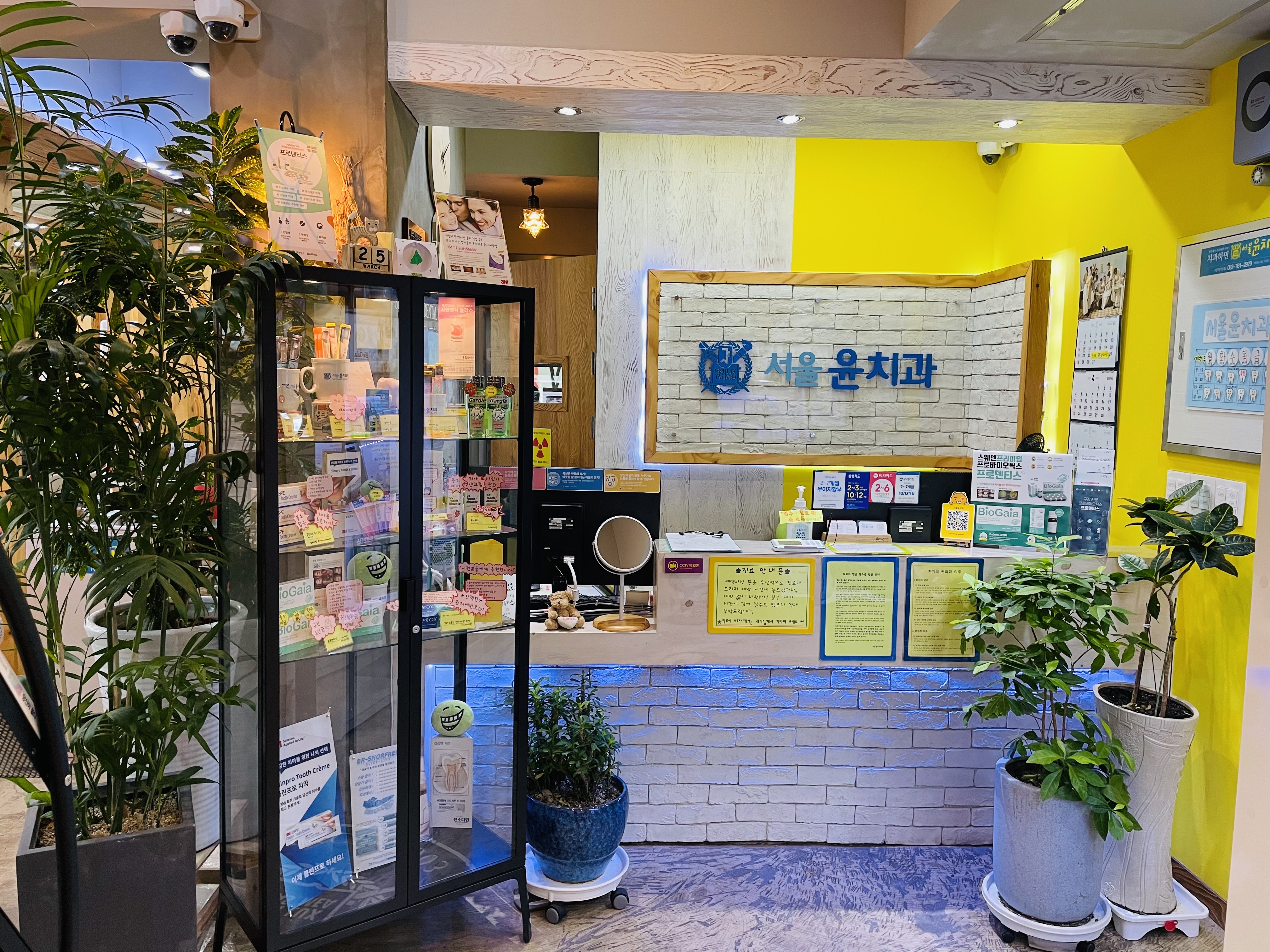 서울윤치과 대표 이미지