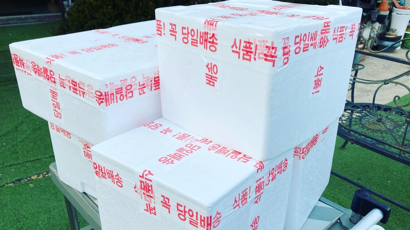 이미지 3