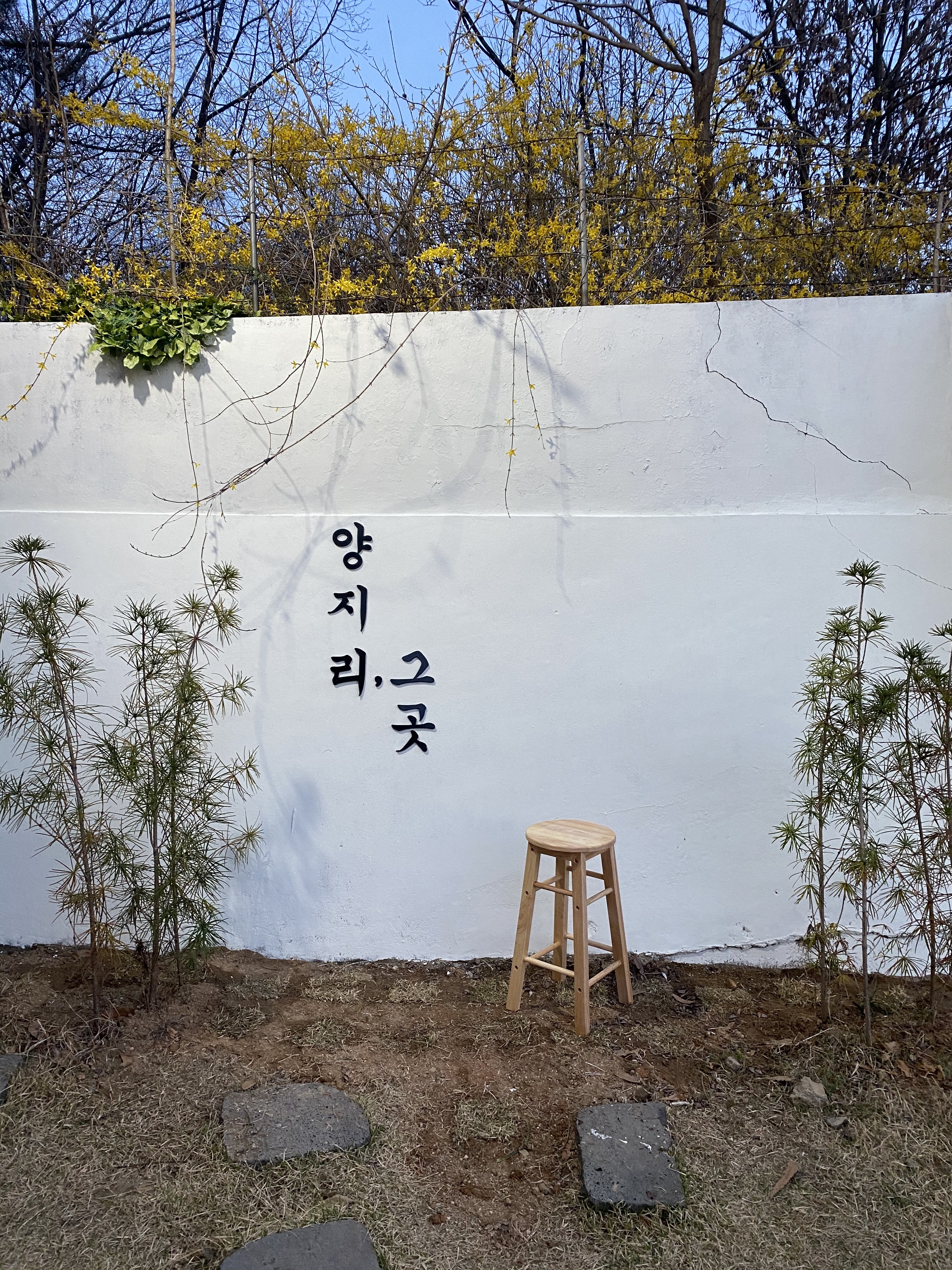 양지리,그곳
