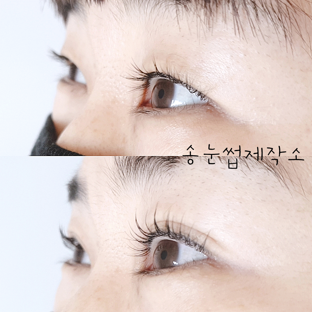 송눈썹제작소
