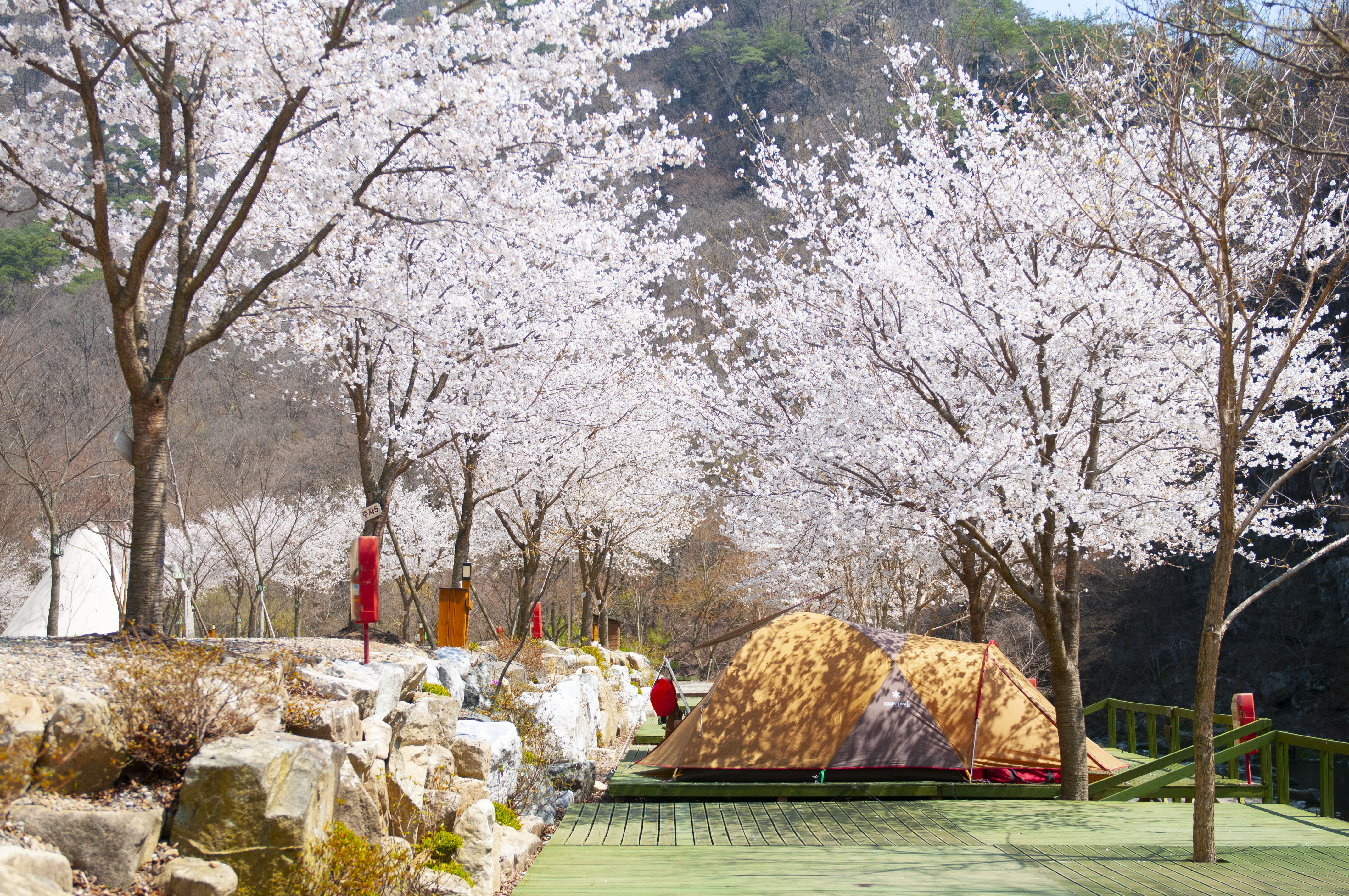 캠핑장 사진