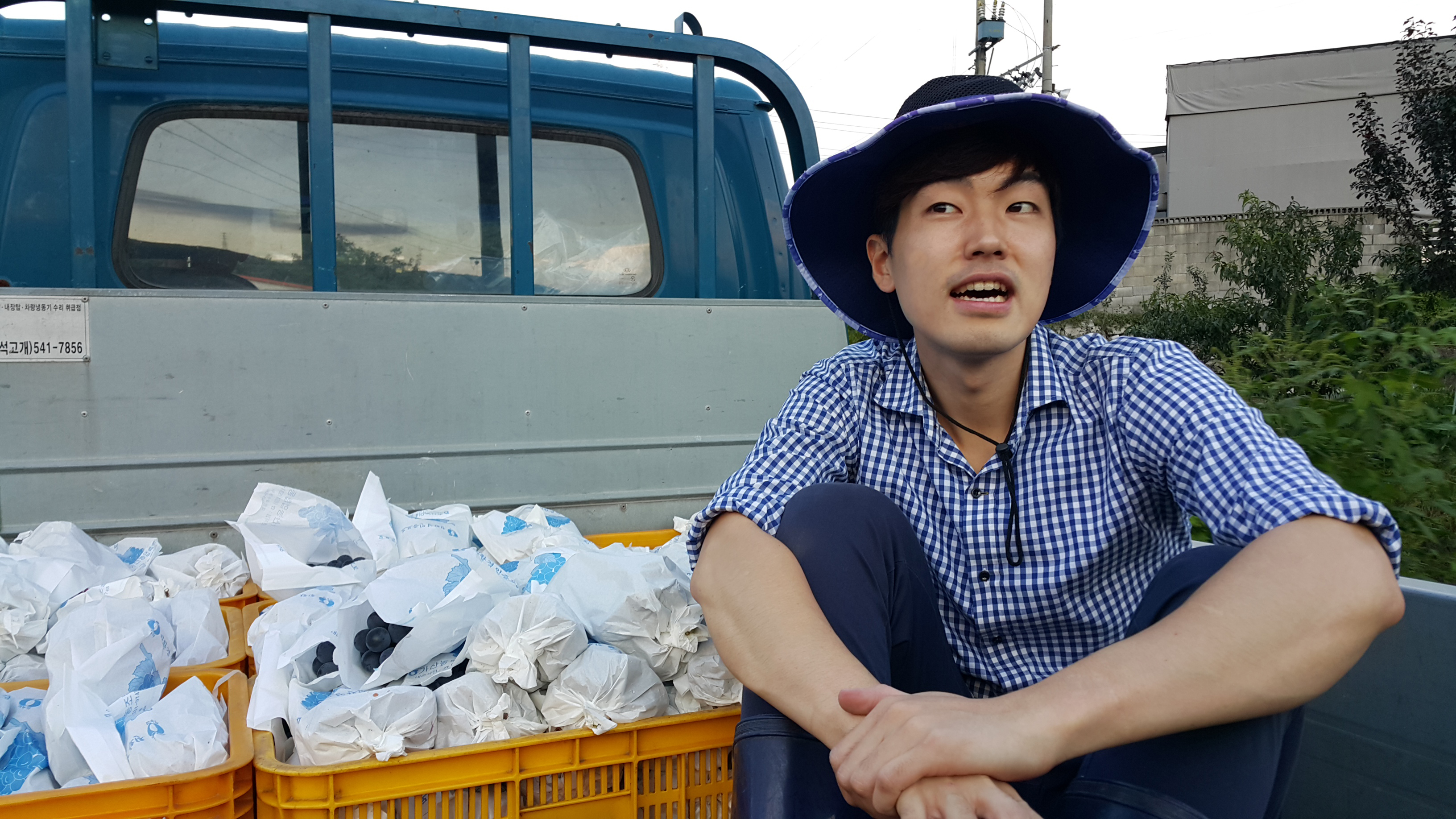 그린포도농원