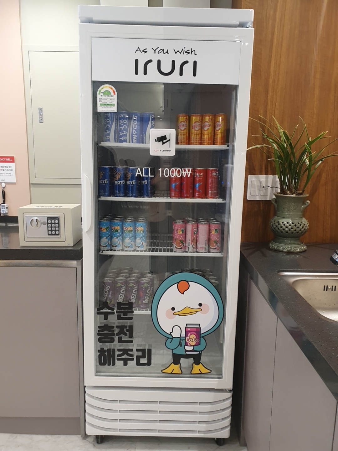 업체사진