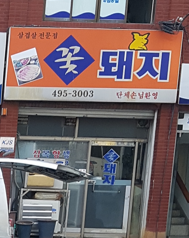 꽃돼지