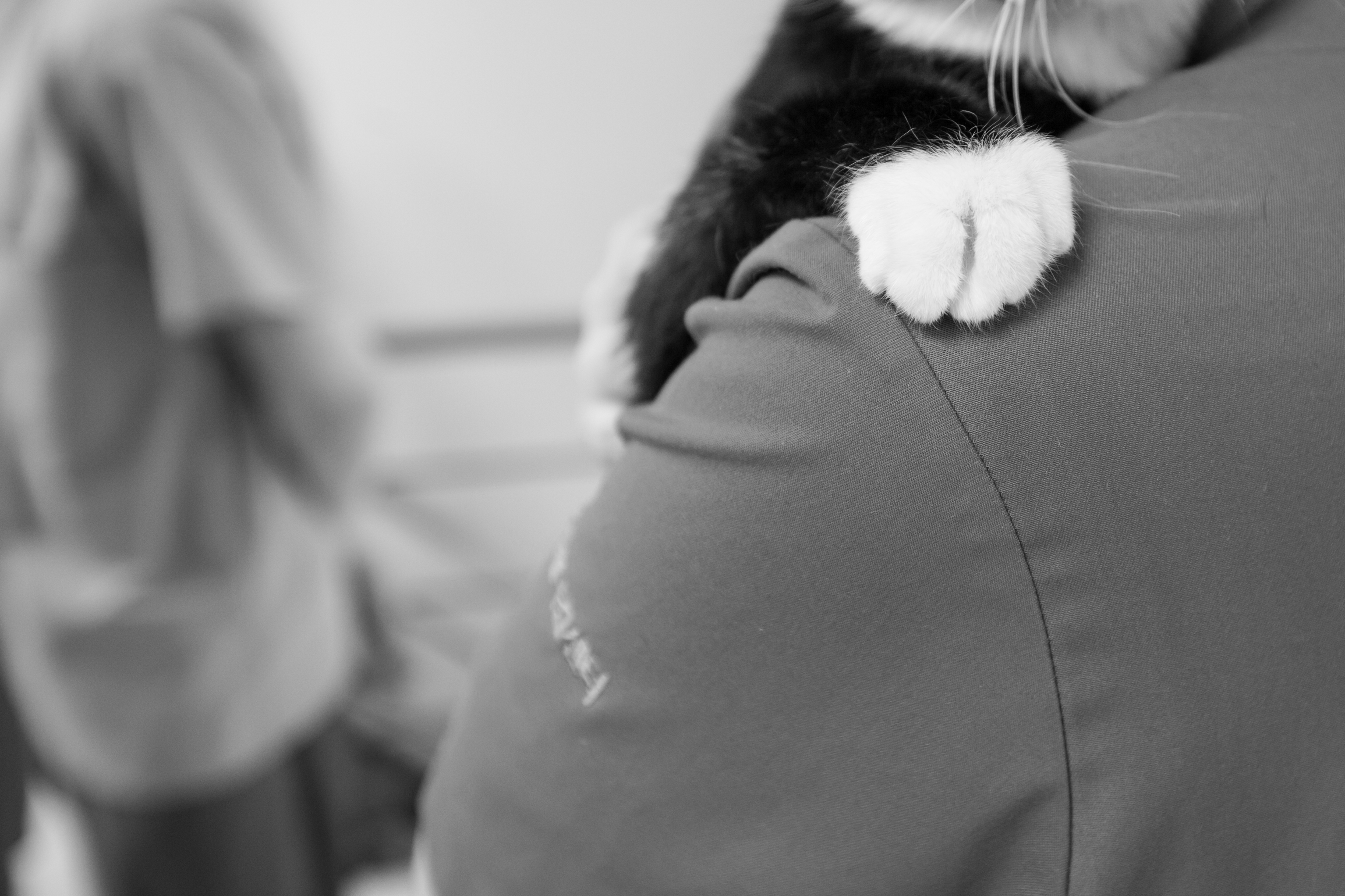 24시 우리동물메디컬센터 대표 이미지