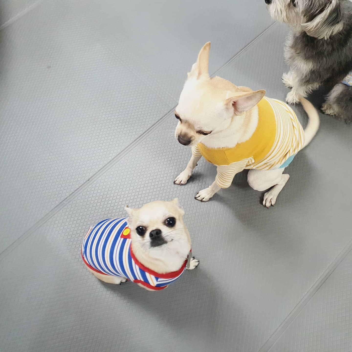 이미지