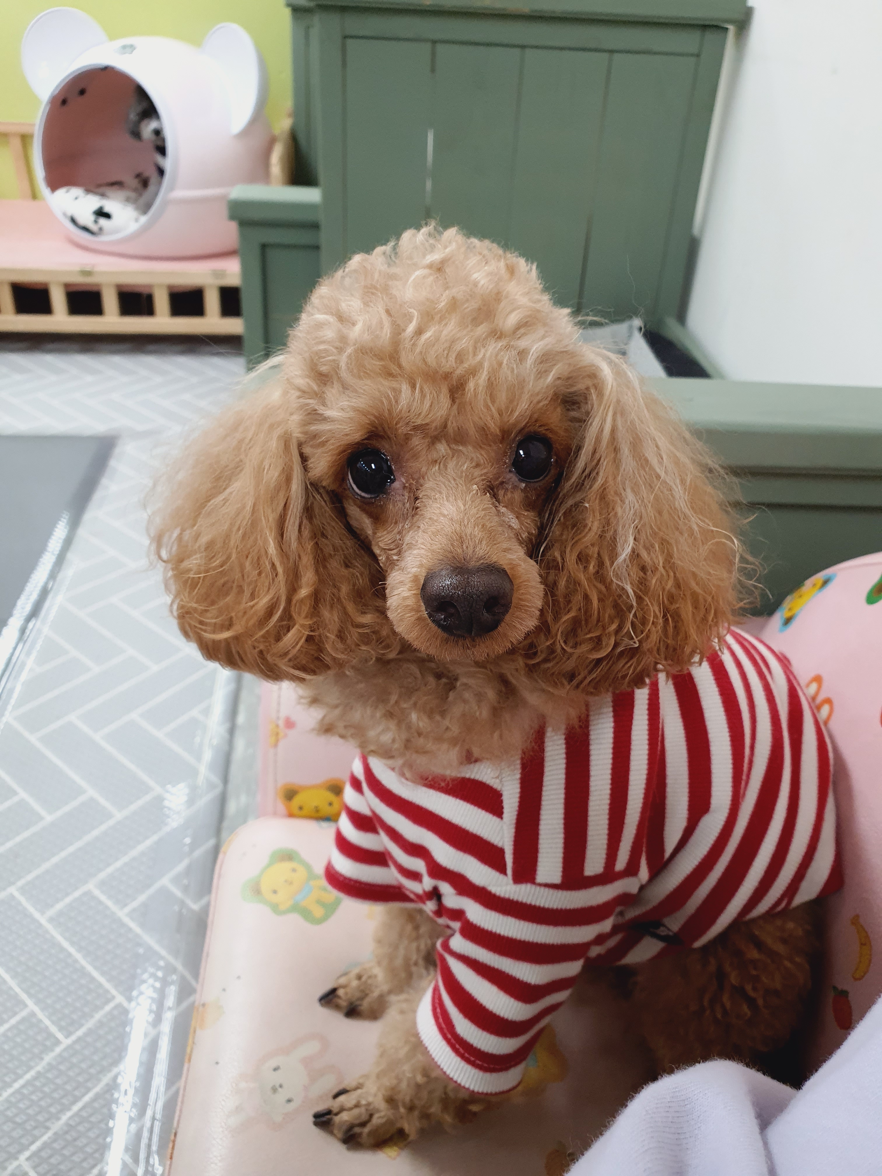 이미지