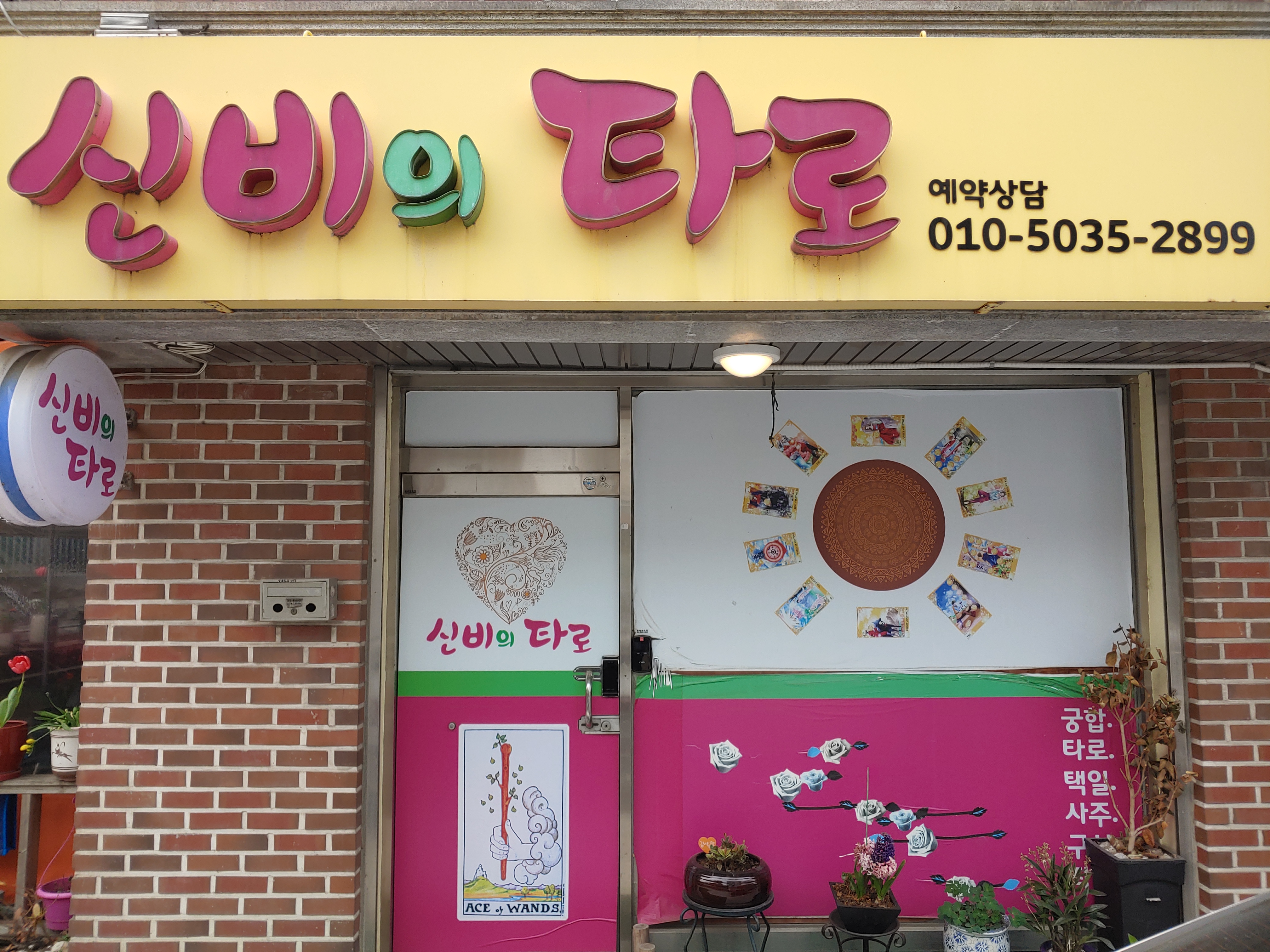 신비의타로