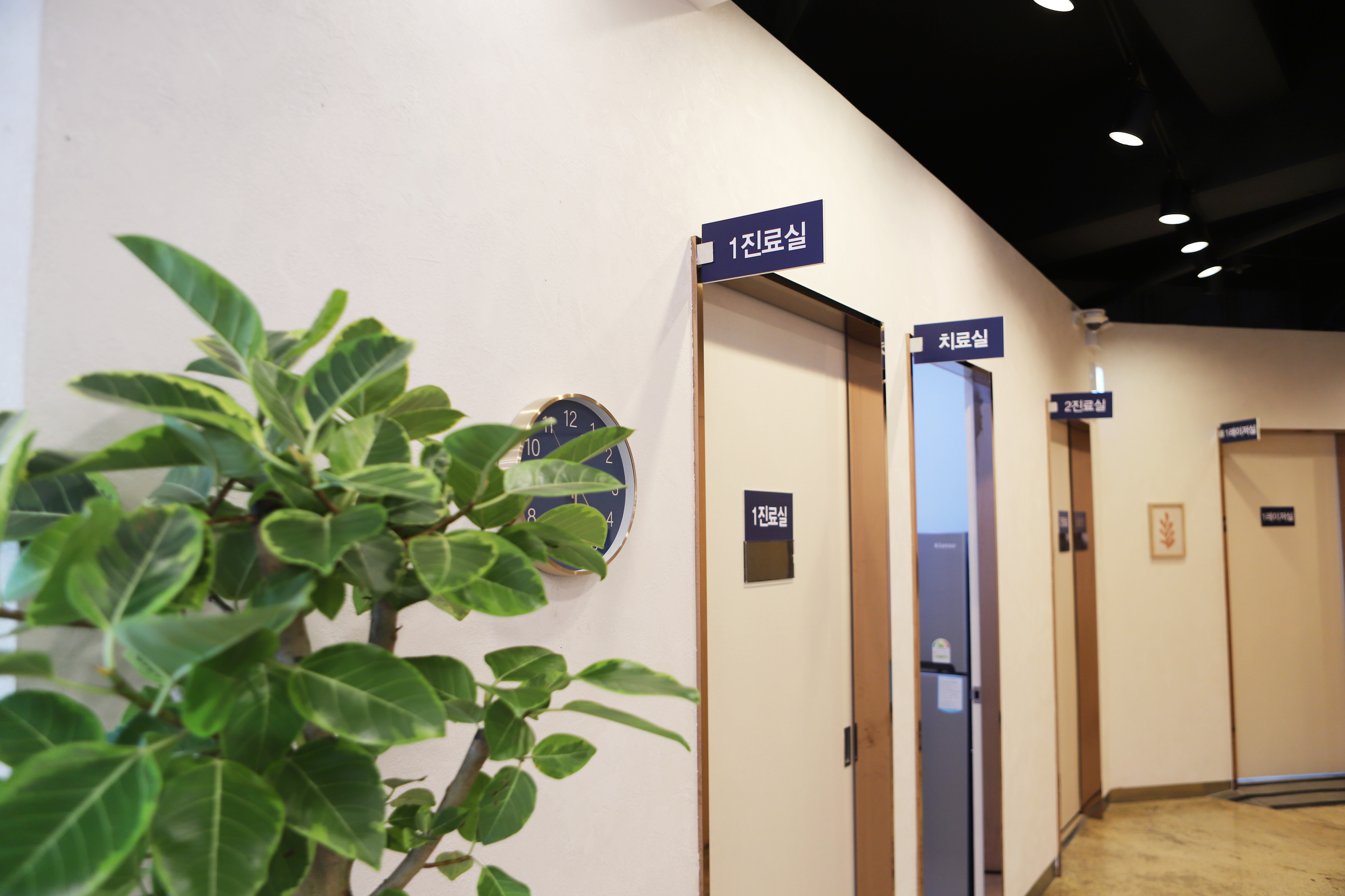 아름다운의원 대표 이미지