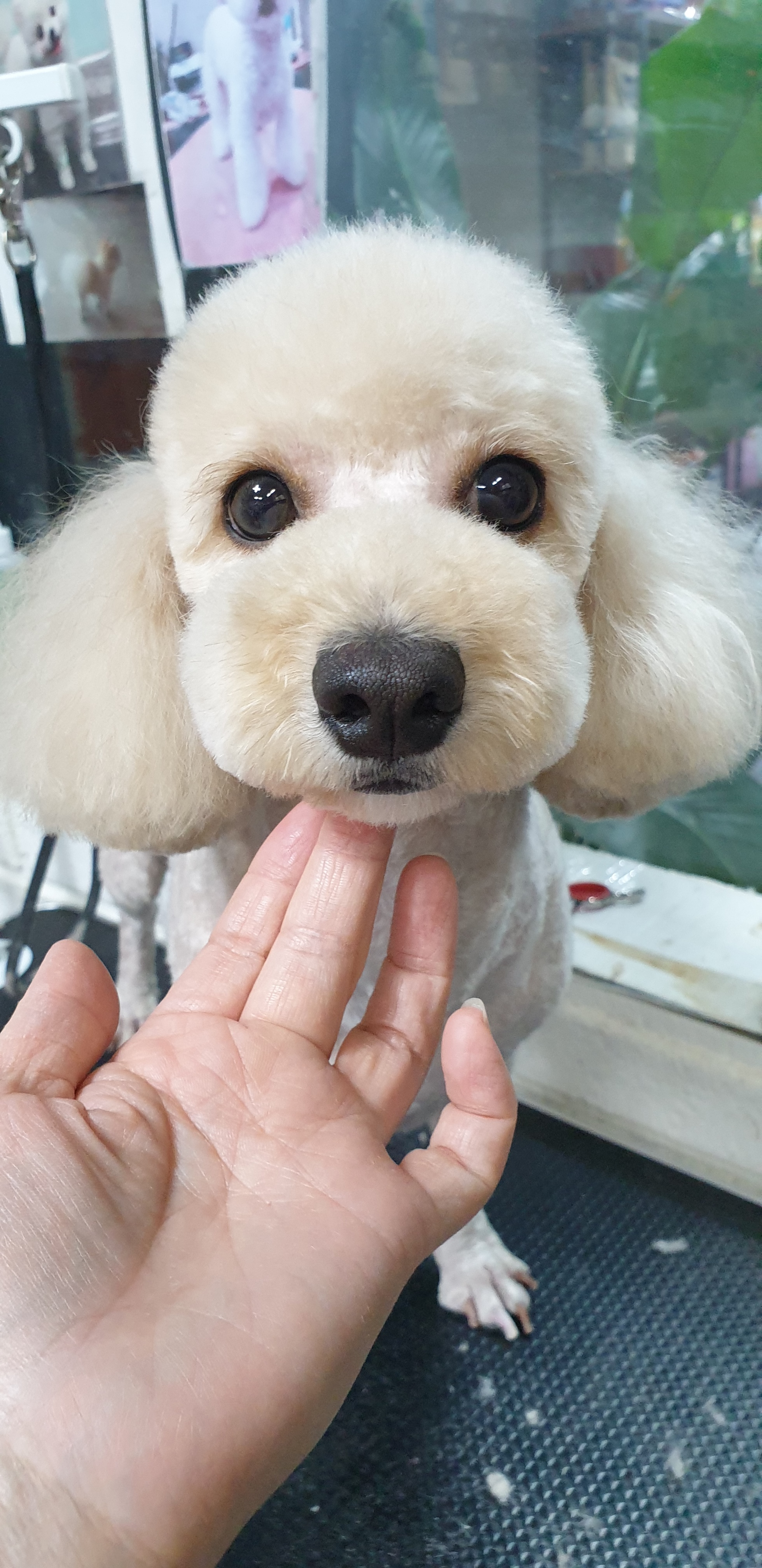몽몽이샵 대표 이미지