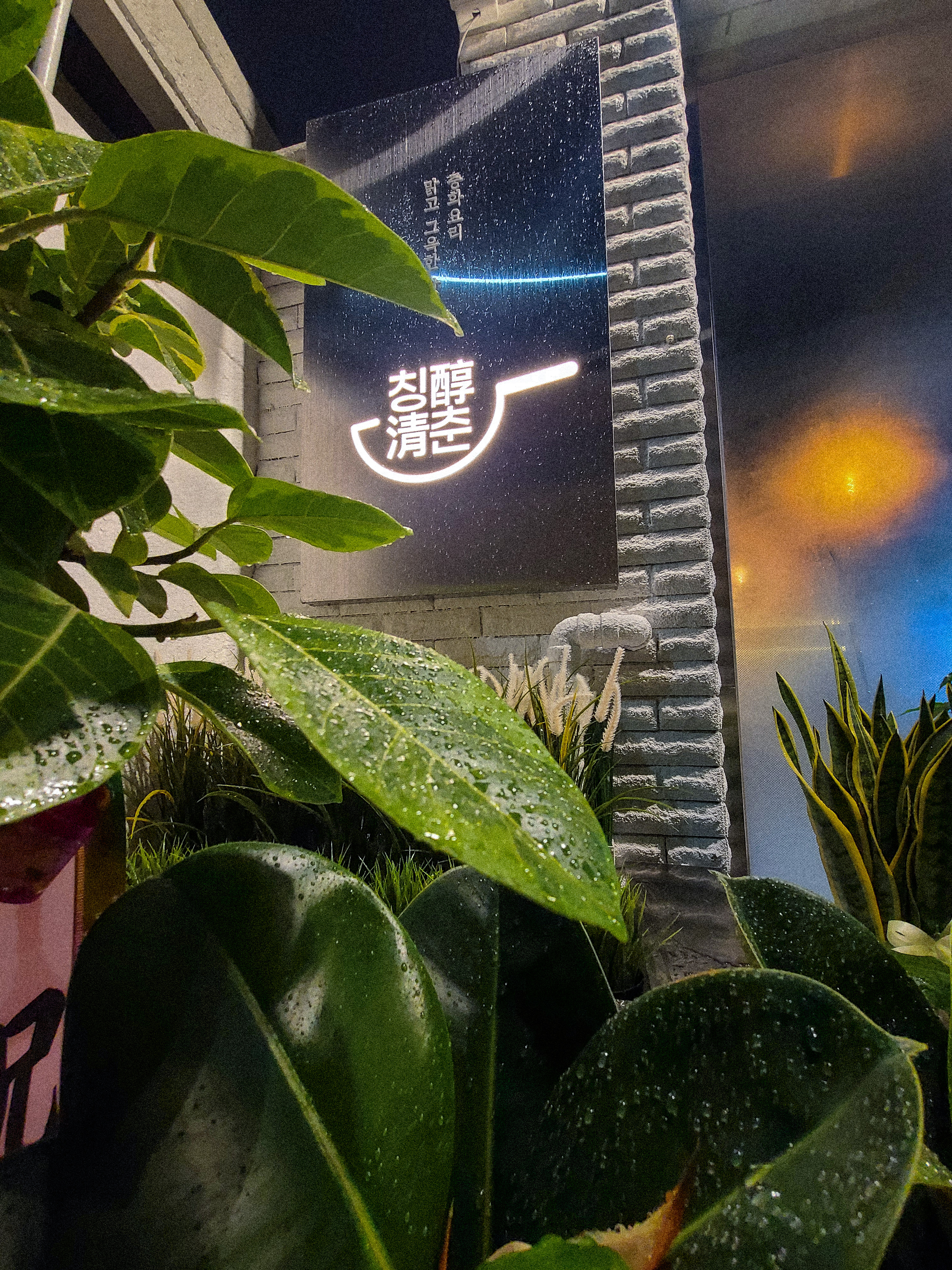 칭춘