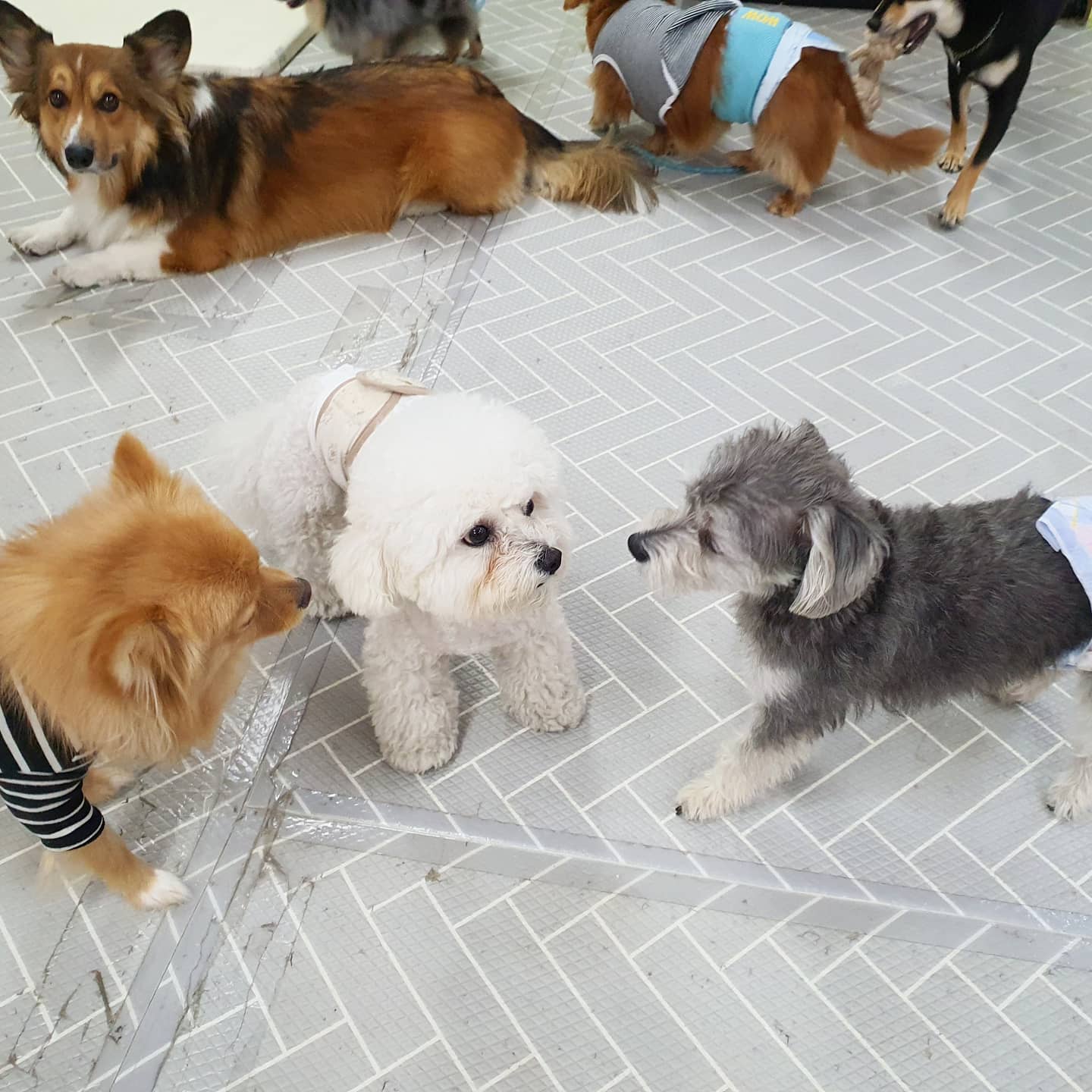 이미지