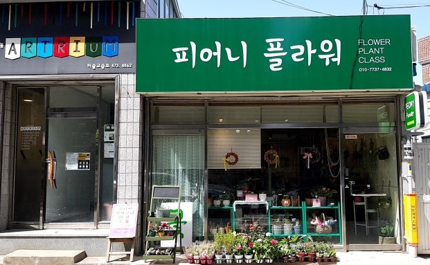 피어니플라워