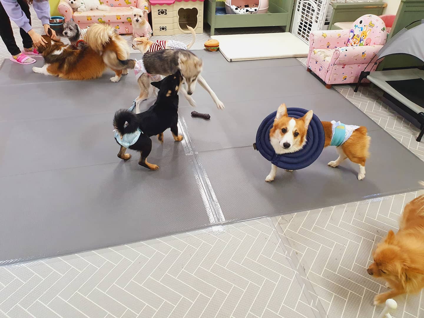 이미지