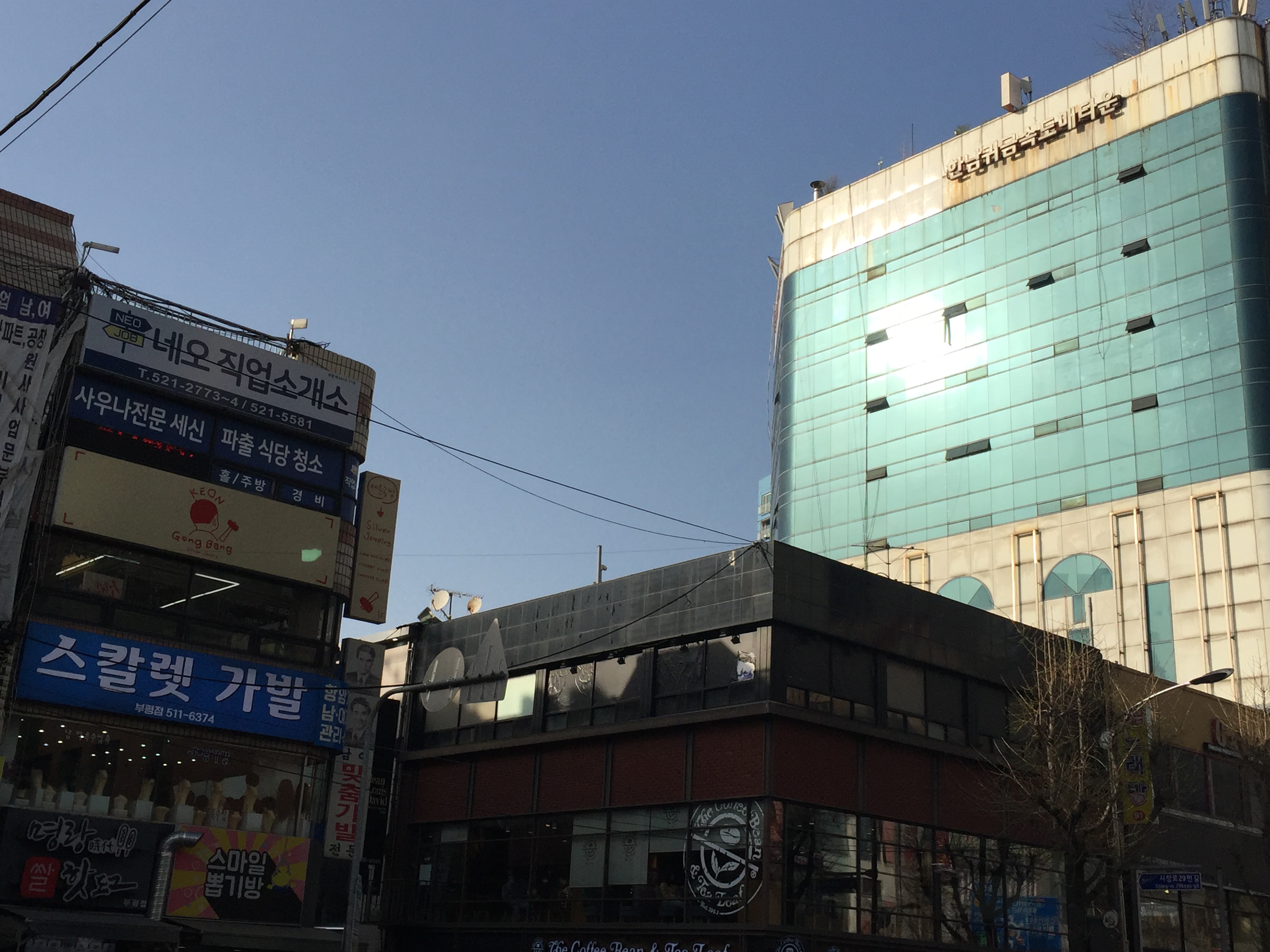 네오직업소개소