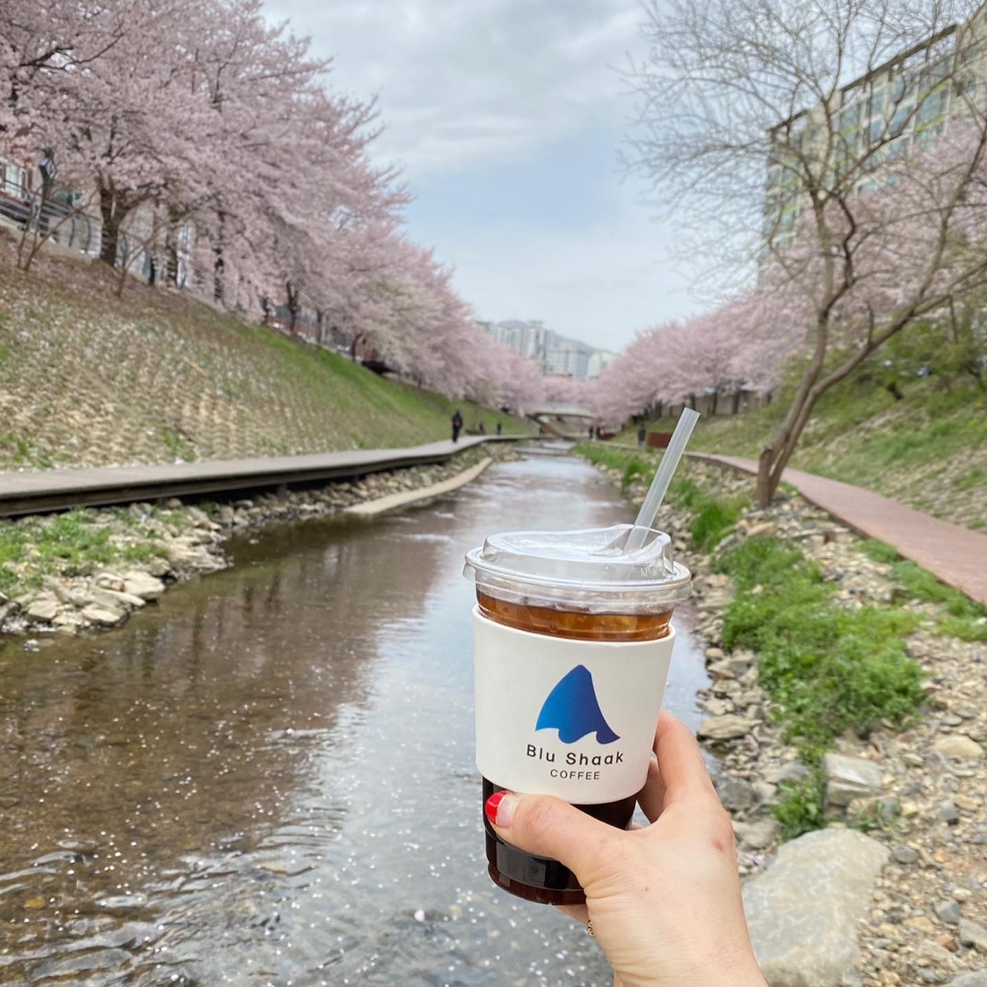 블루샥 울산 삼산센트럴자이점