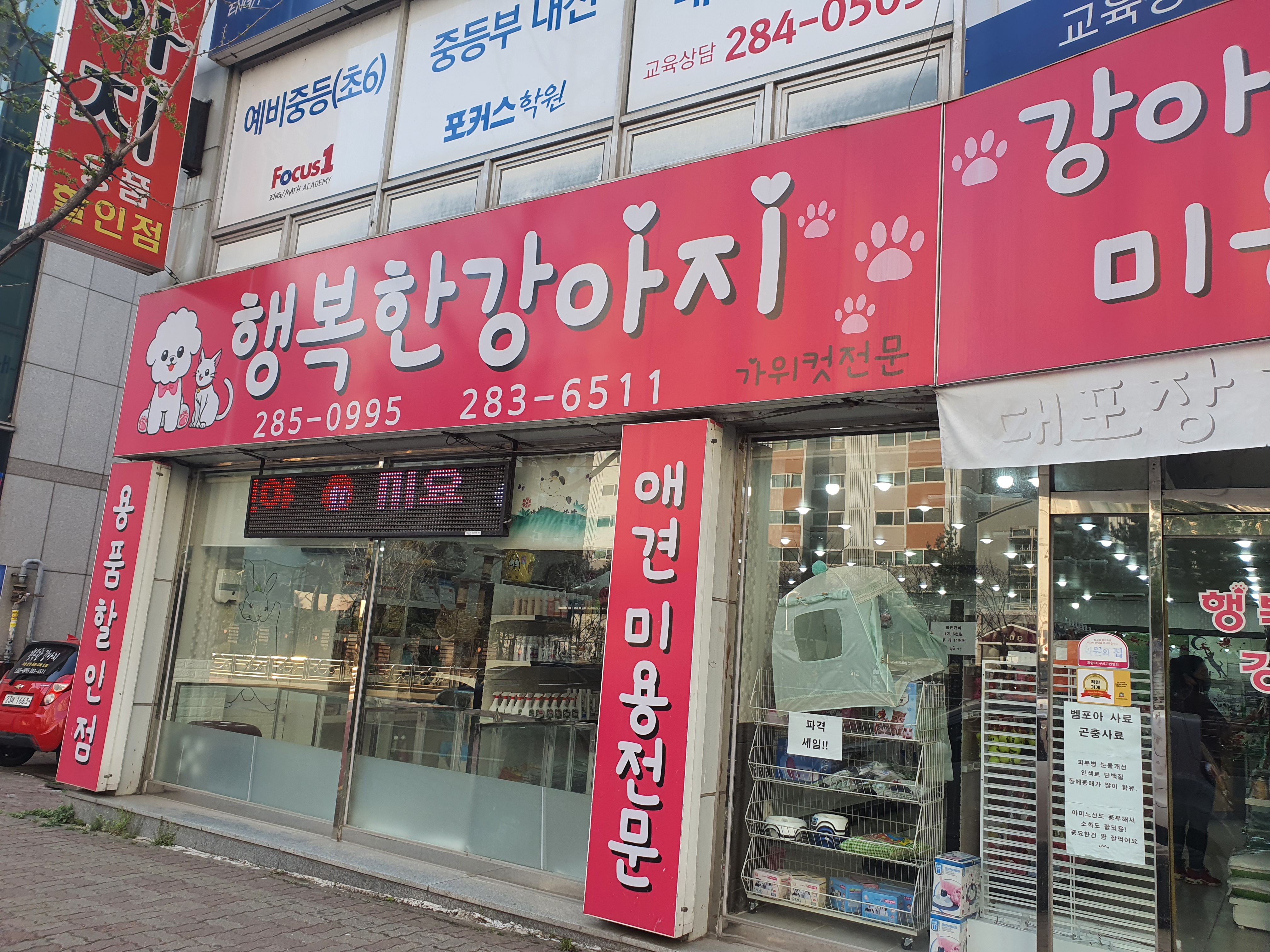 행복한강아지 대표 이미지
