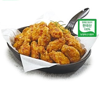 자담치킨 세종소담점