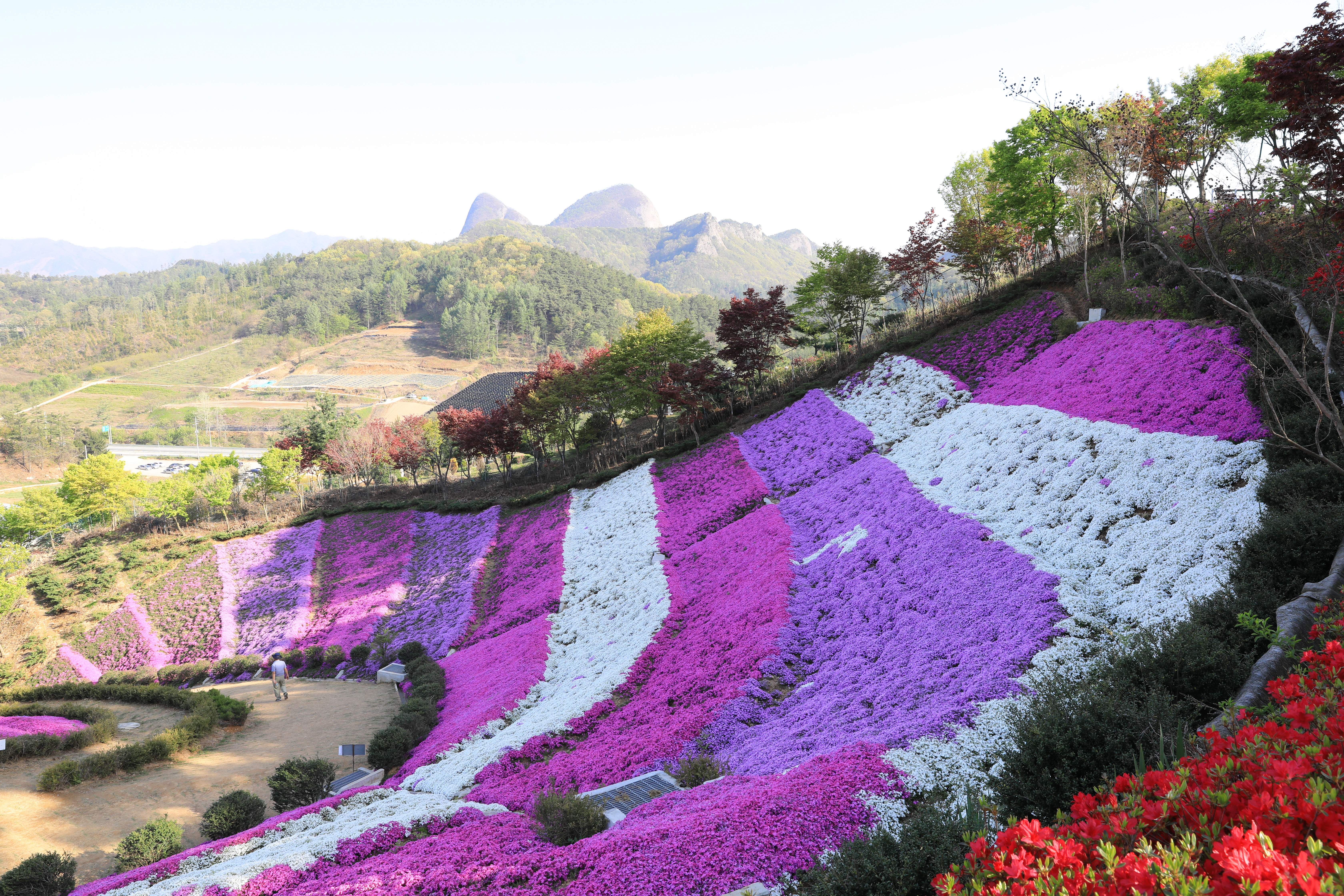 효산재 3
