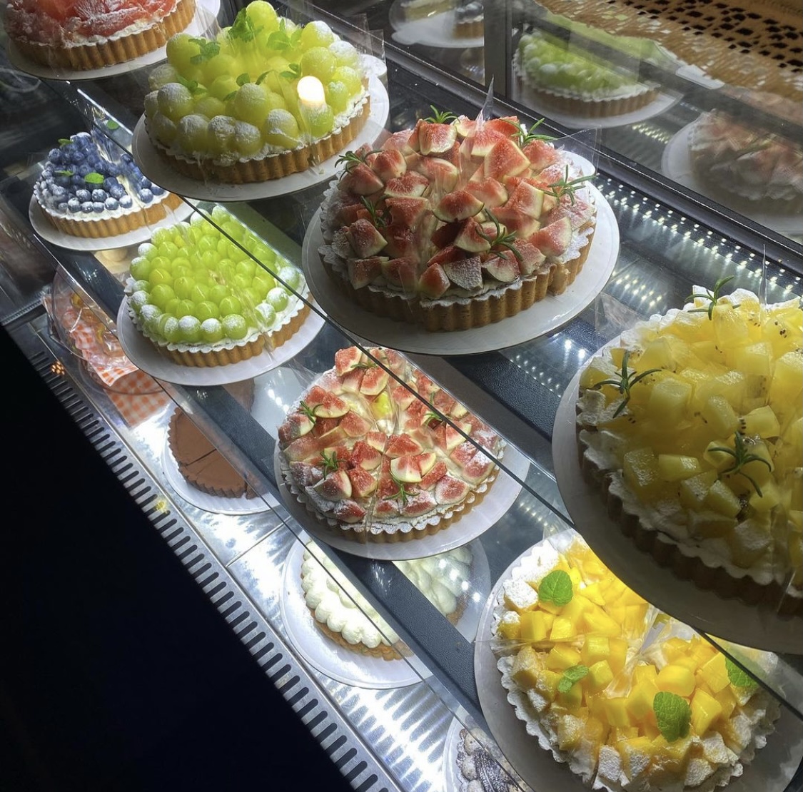 카페몬드 경상 애견맛집
