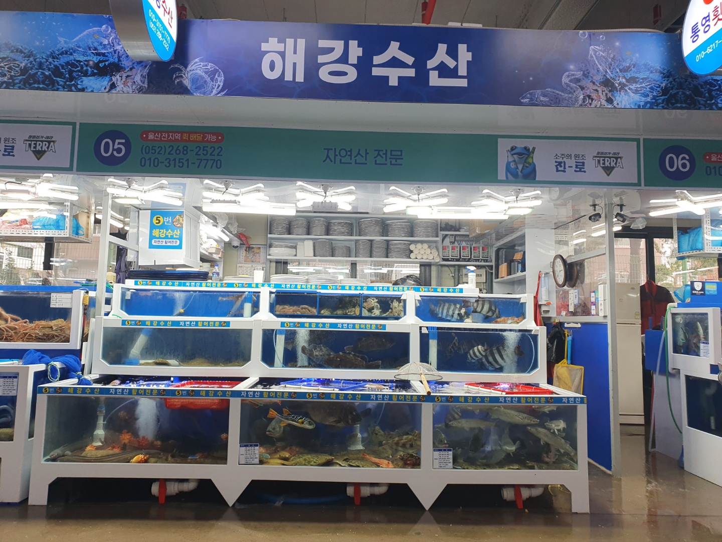 해강수산
