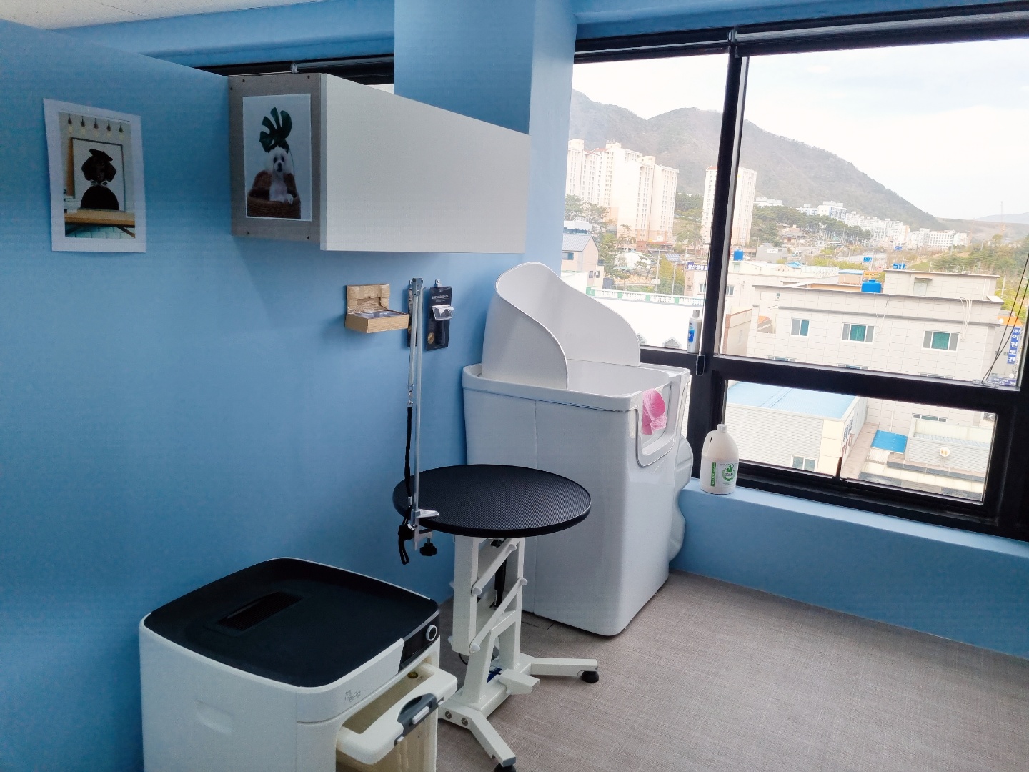 폼나개 대표 이미지