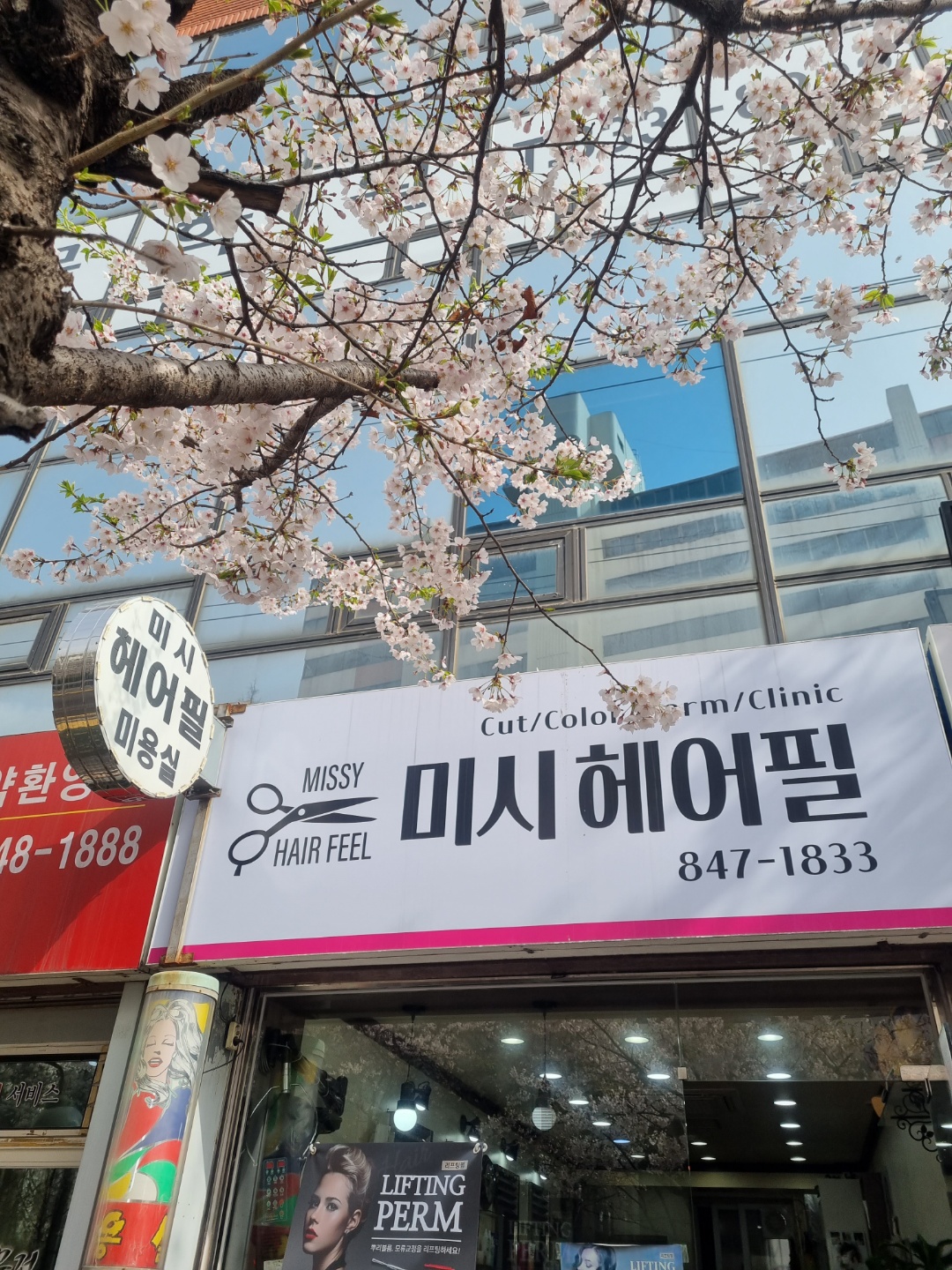 미시헤어필