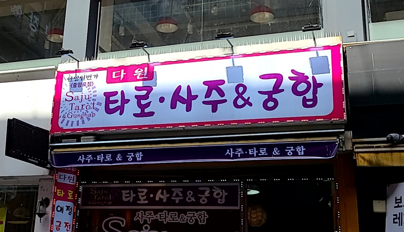 다원타로사주앤 궁합