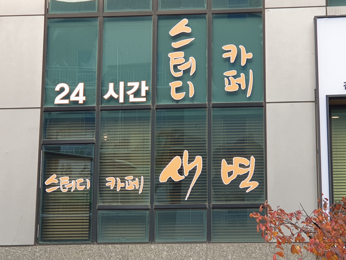업체사진