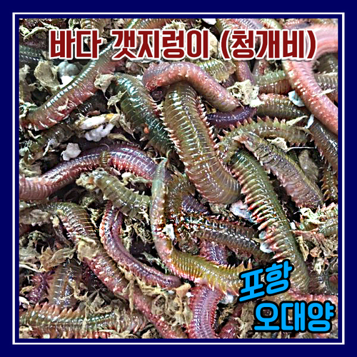 오대양낚시프라자