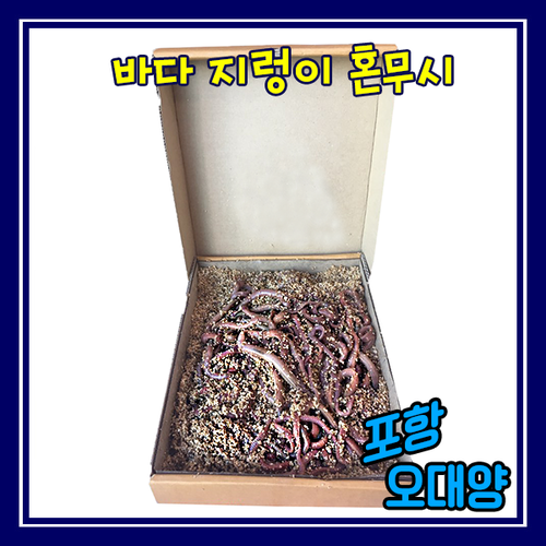 오대양낚시프라자
