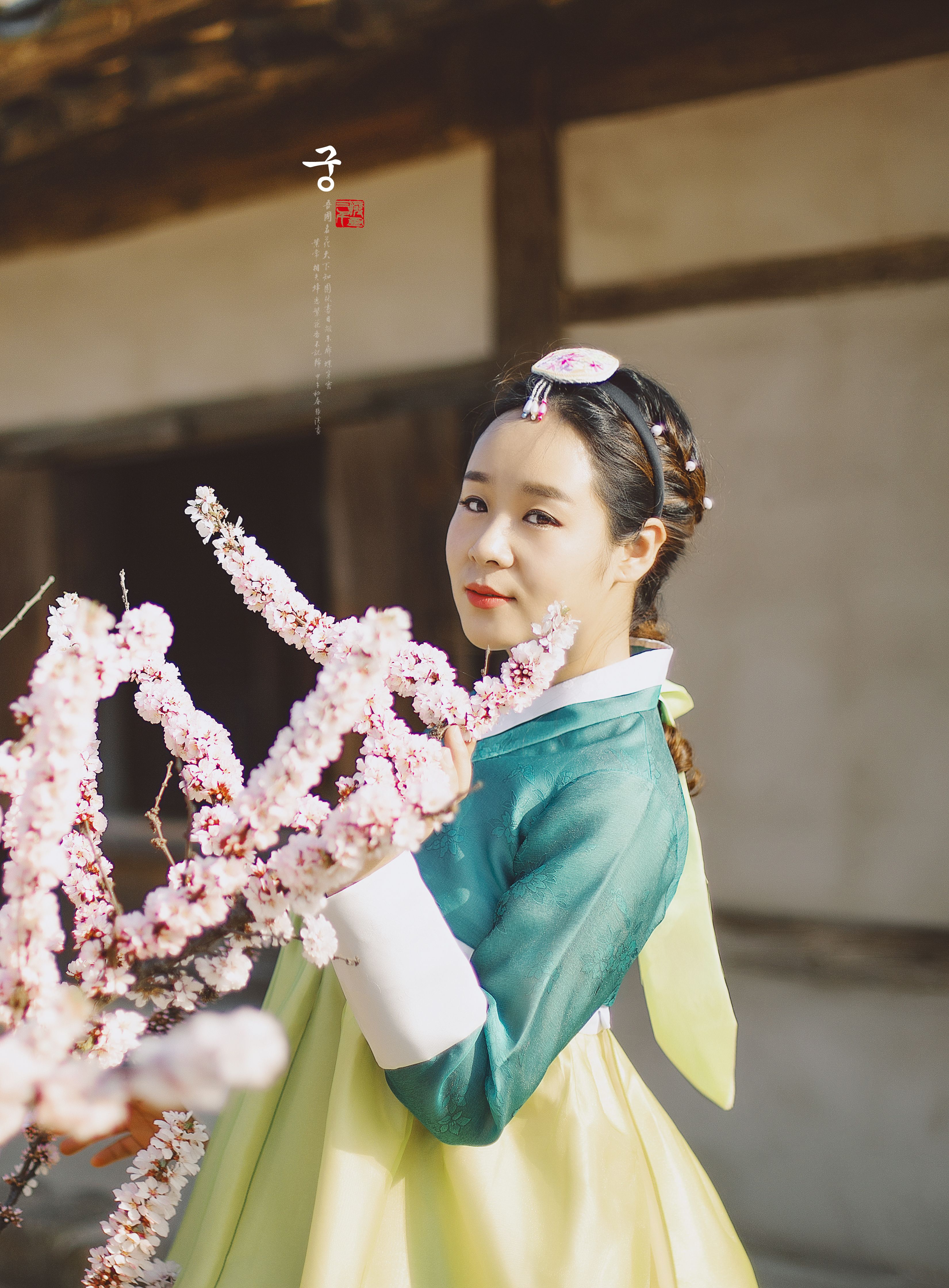 진도을사진관