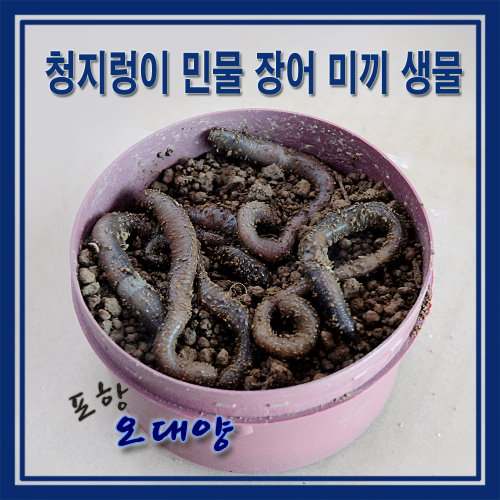 오대양낚시프라자