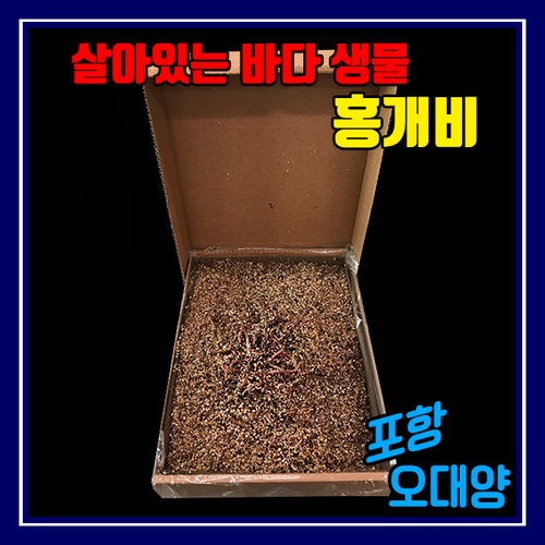 오대양낚시프라자