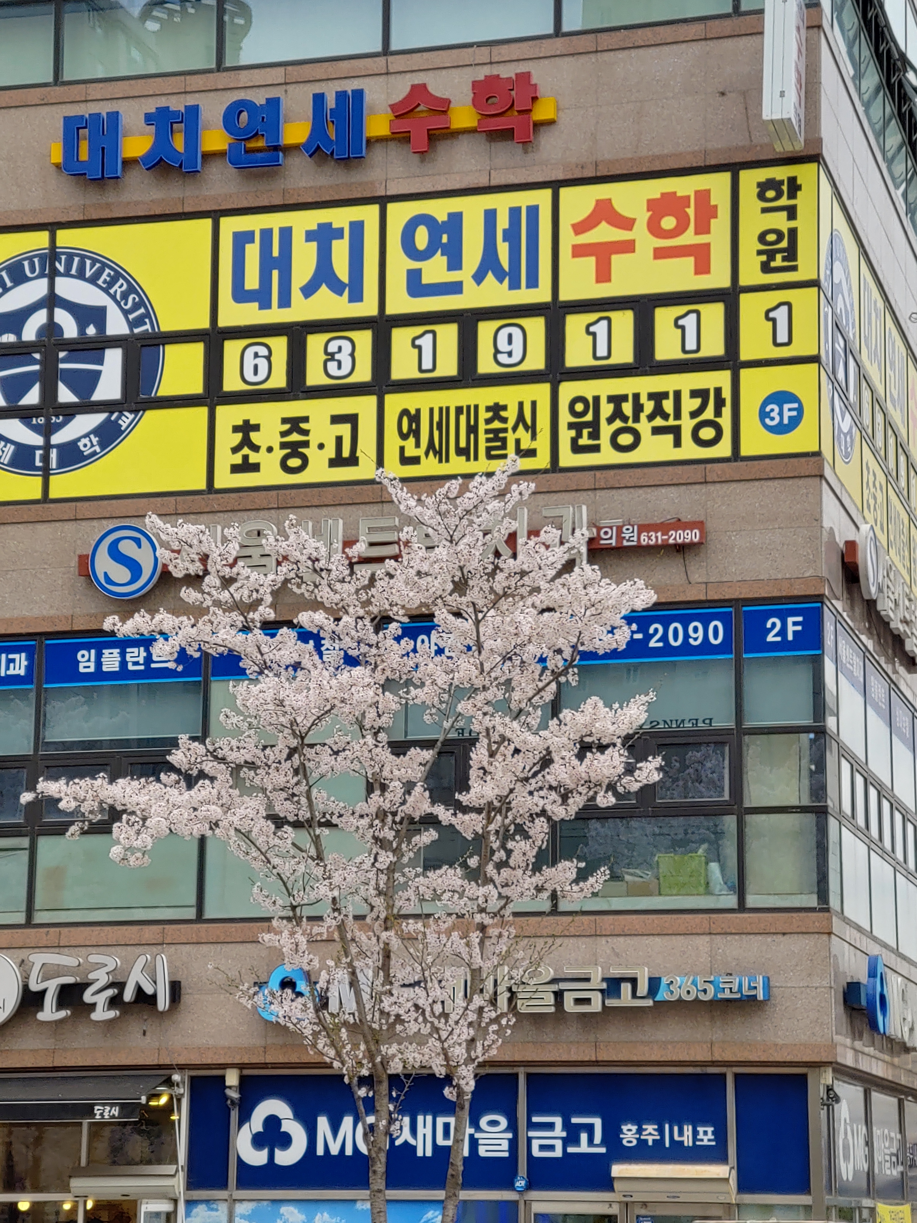대치연세수학학원